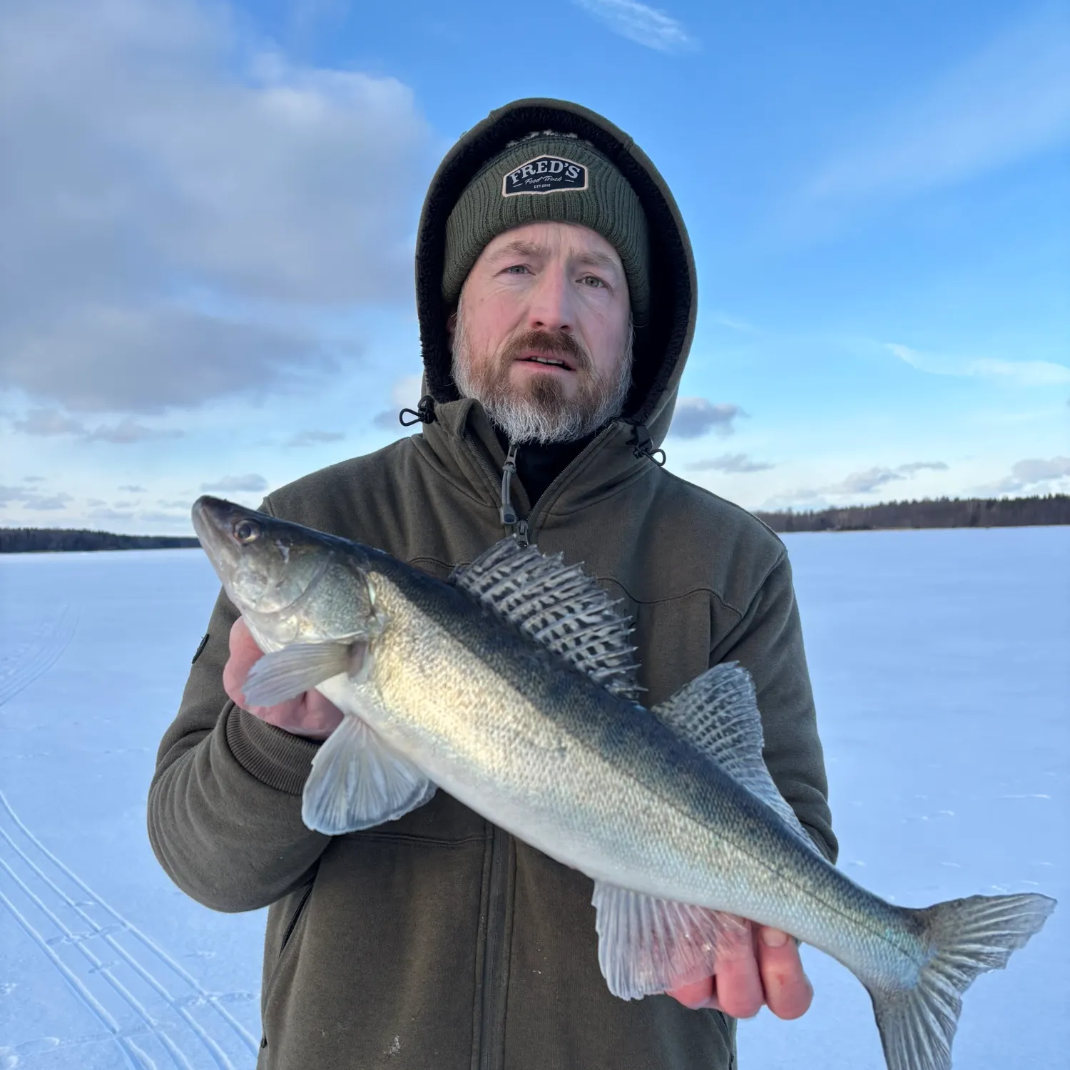 The most recent Zander catches on Fishbrain