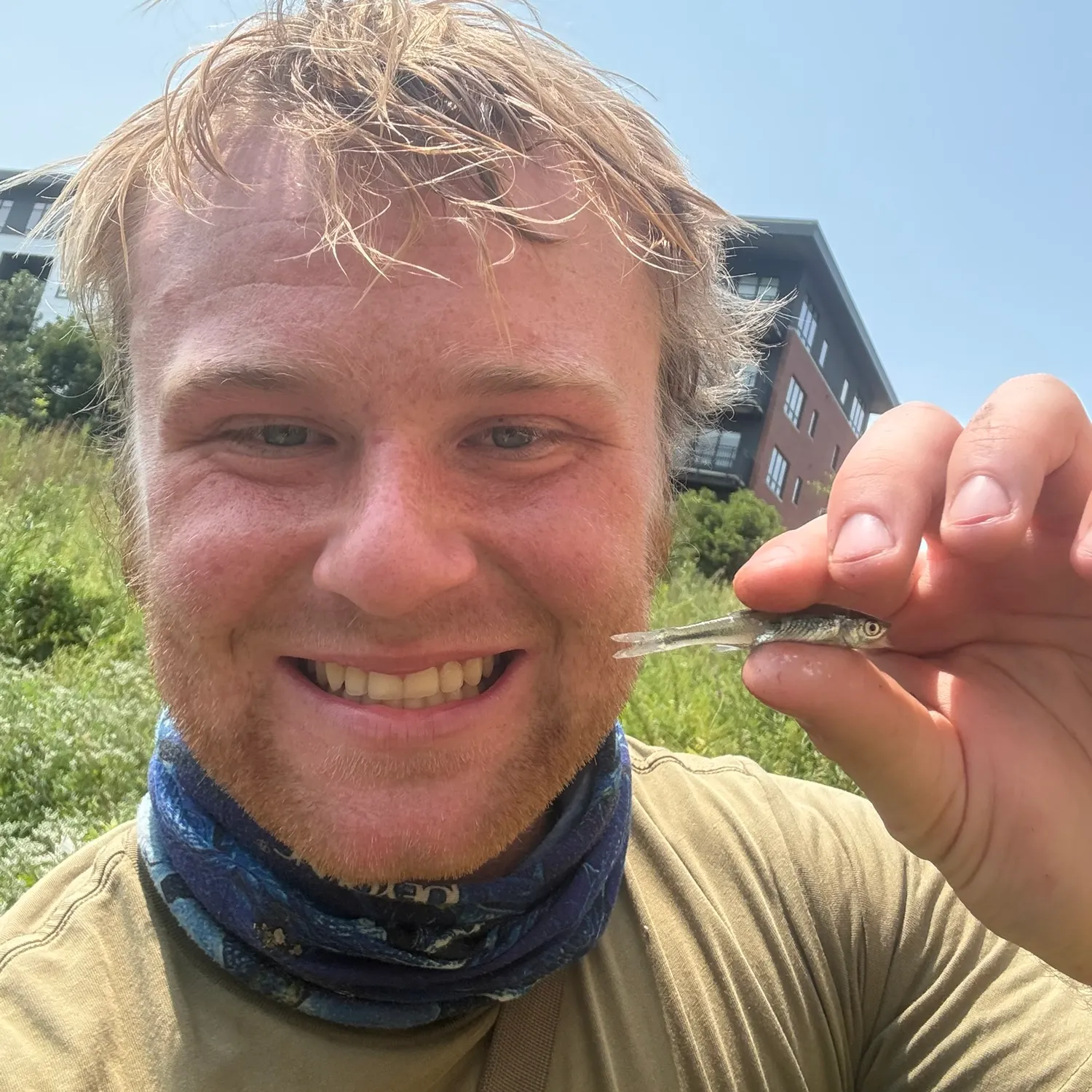 The most recent Redfin shiner catches on Fishbrain