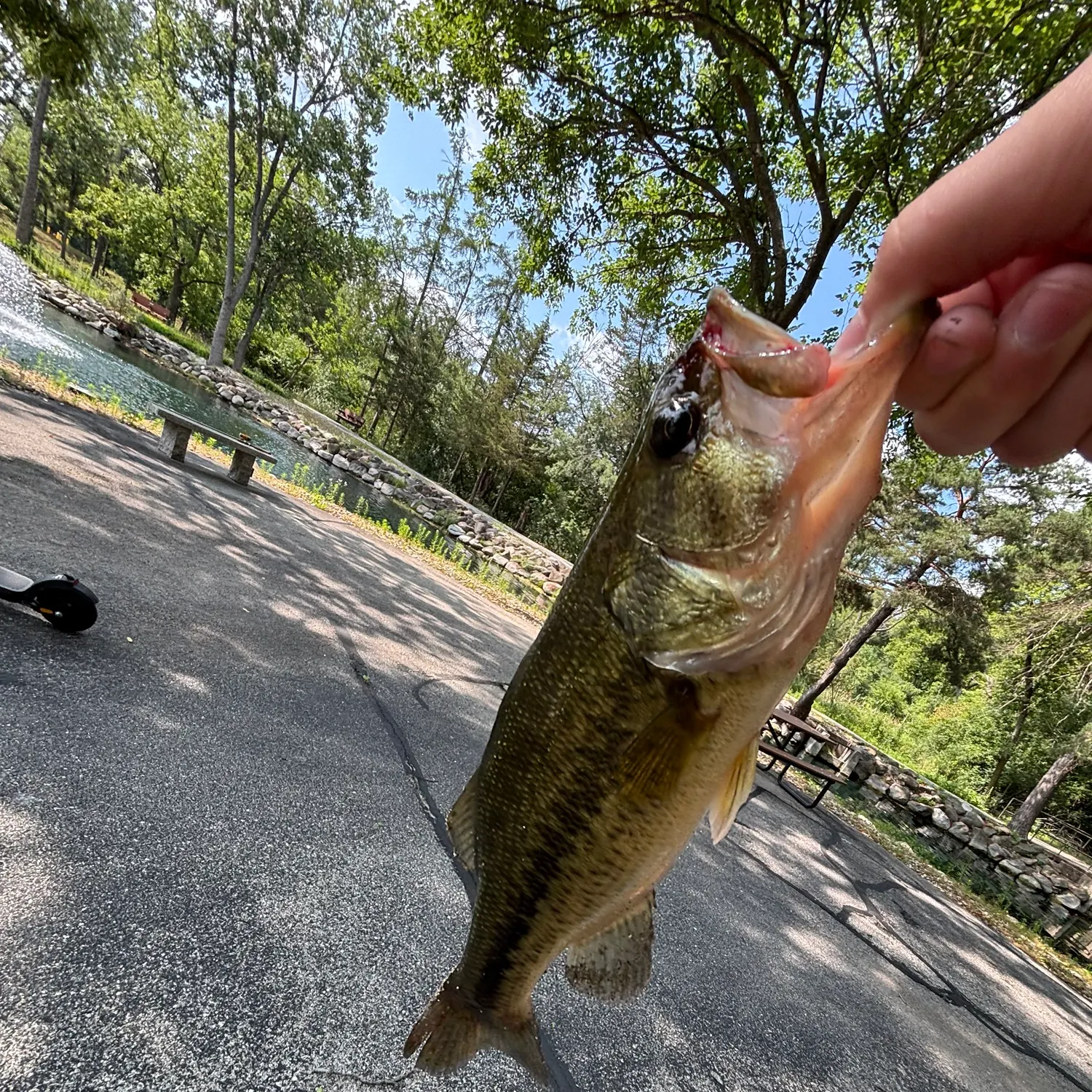 catch