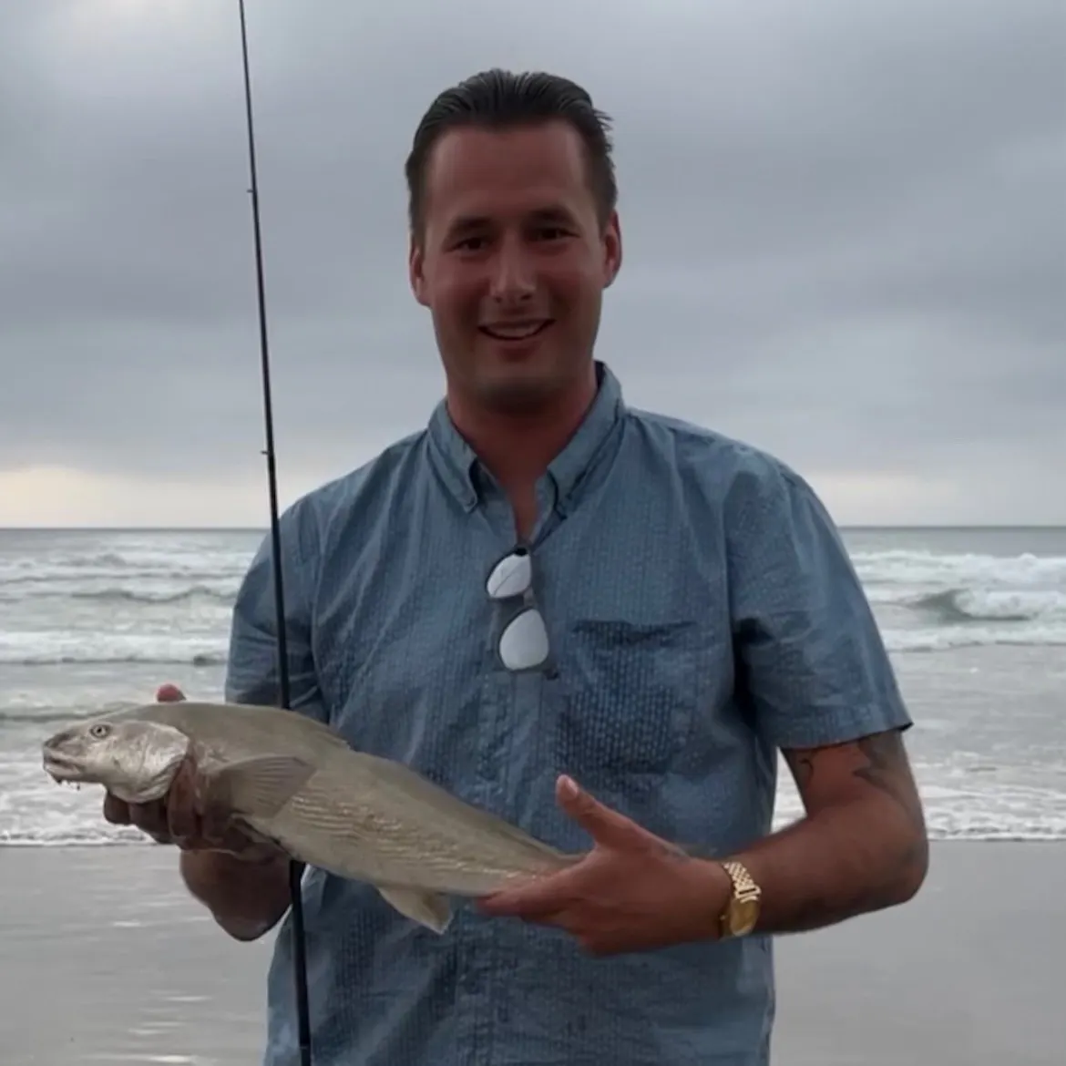 The most recent California corbina catches on Fishbrain