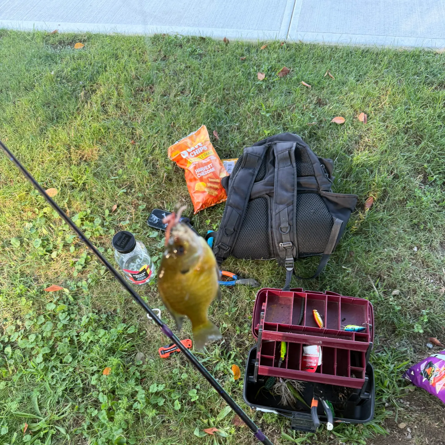 catch
