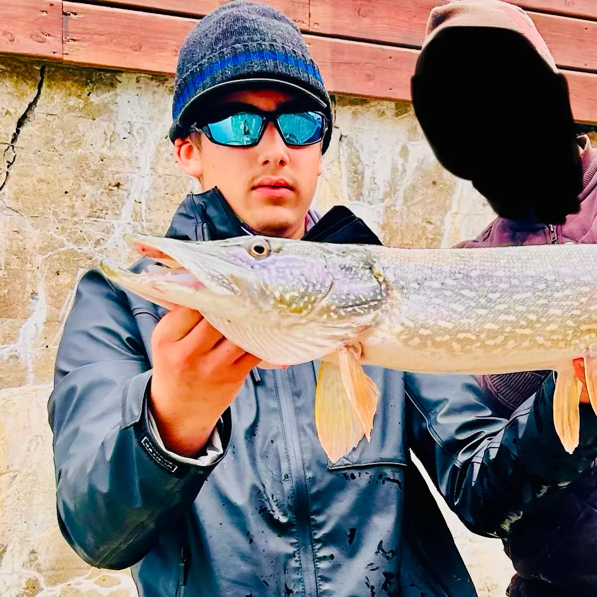 Northern pike caught on Fishbrain