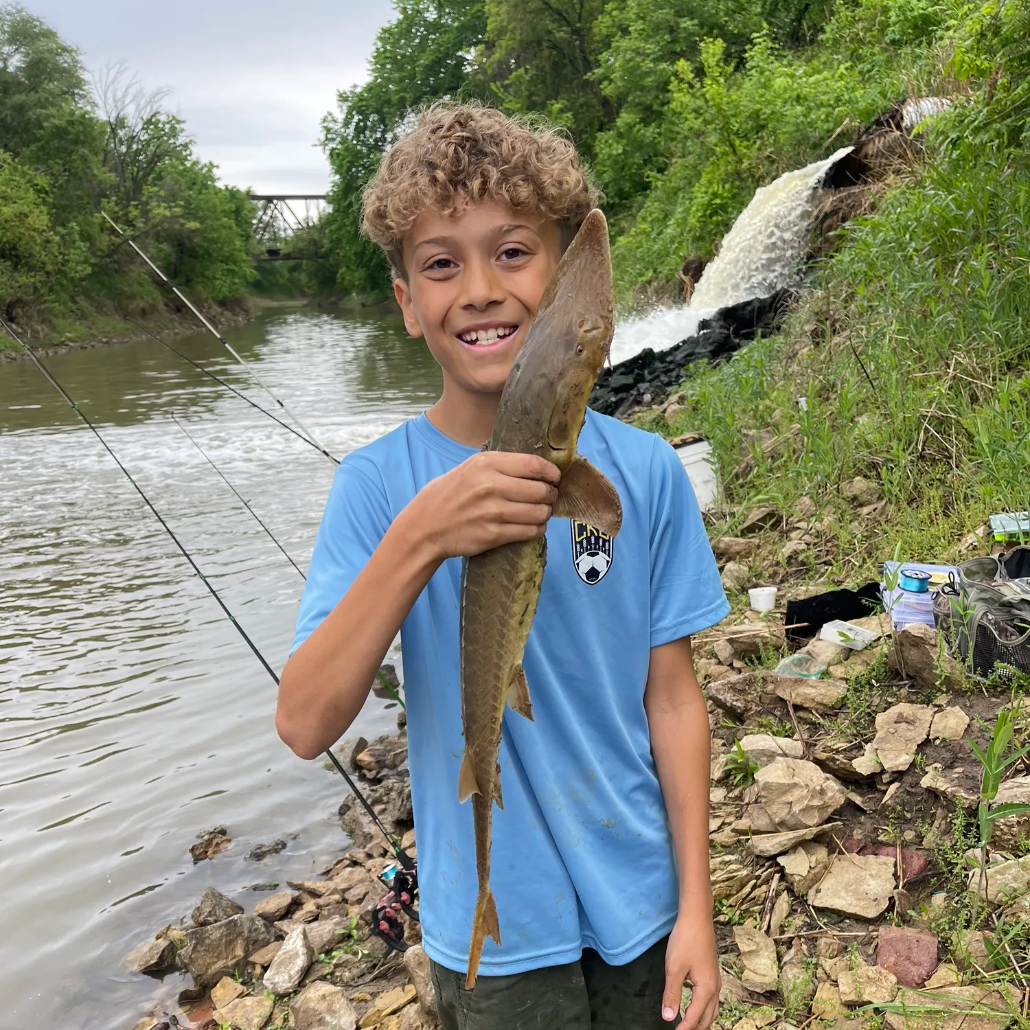 The most recent Shovelnose sturgeon catches on Fishbrain