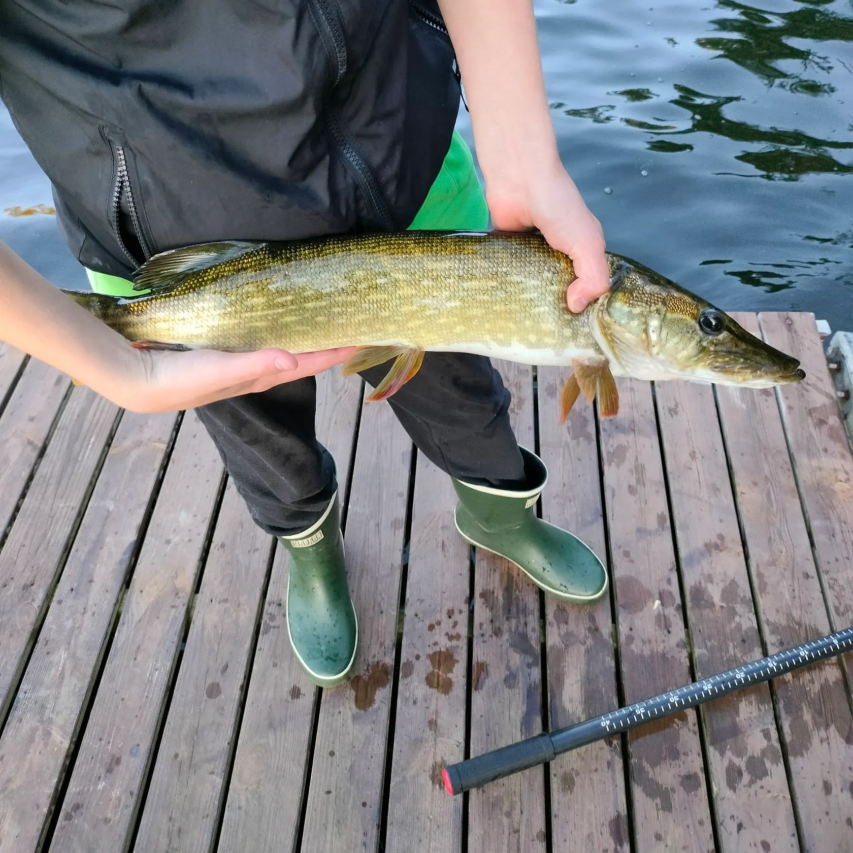 Northern pike caught on Fishbrain