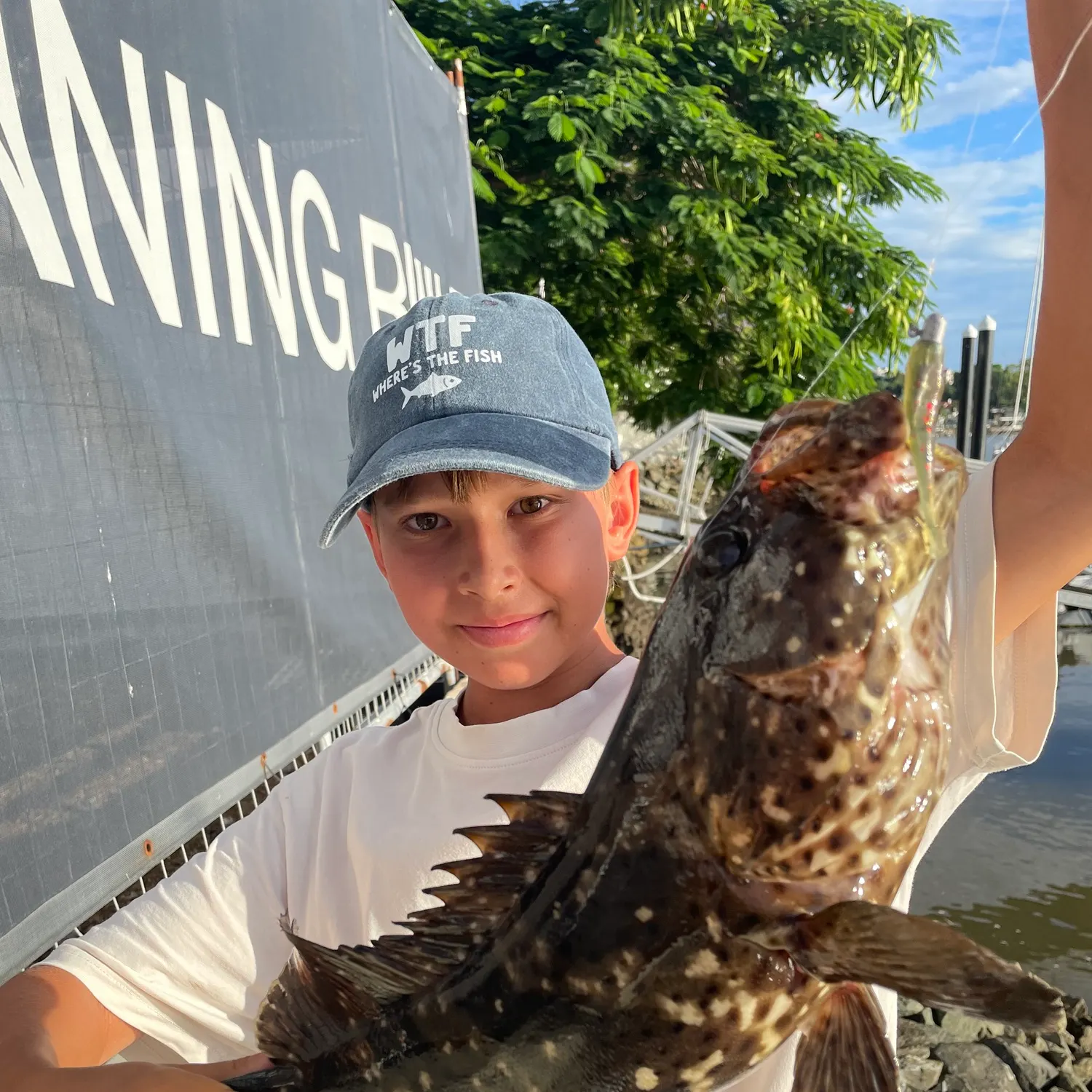 The most recent Greasy grouper catches on Fishbrain