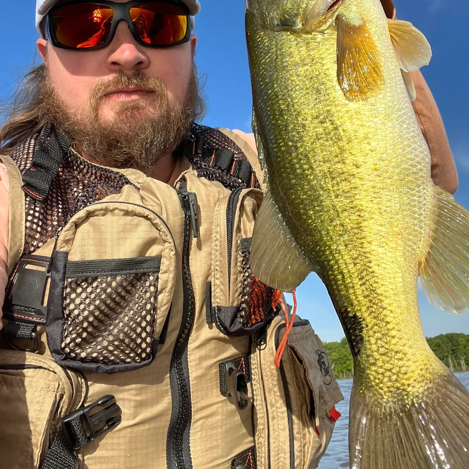 angler catch