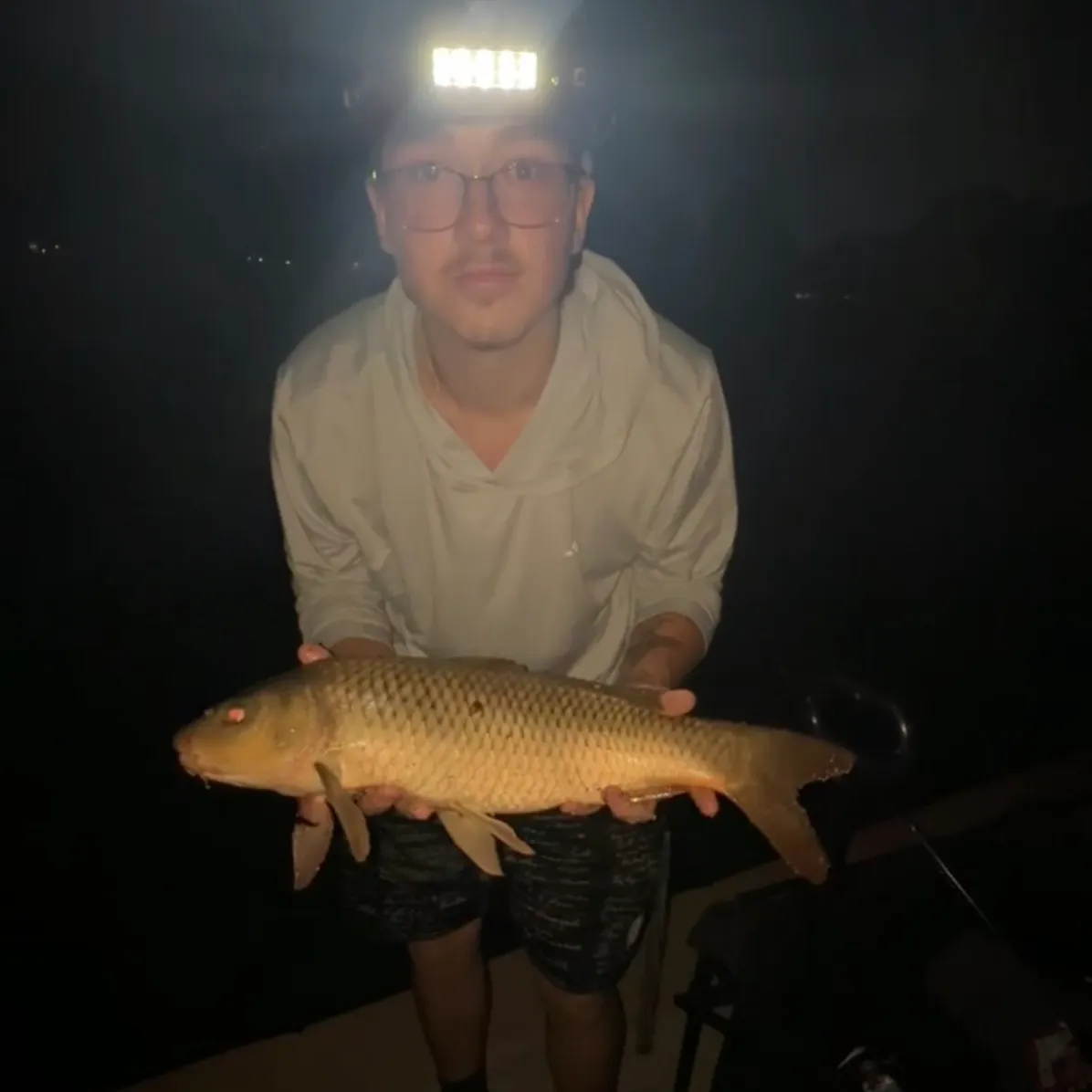 Common carp caught on Fishbrain