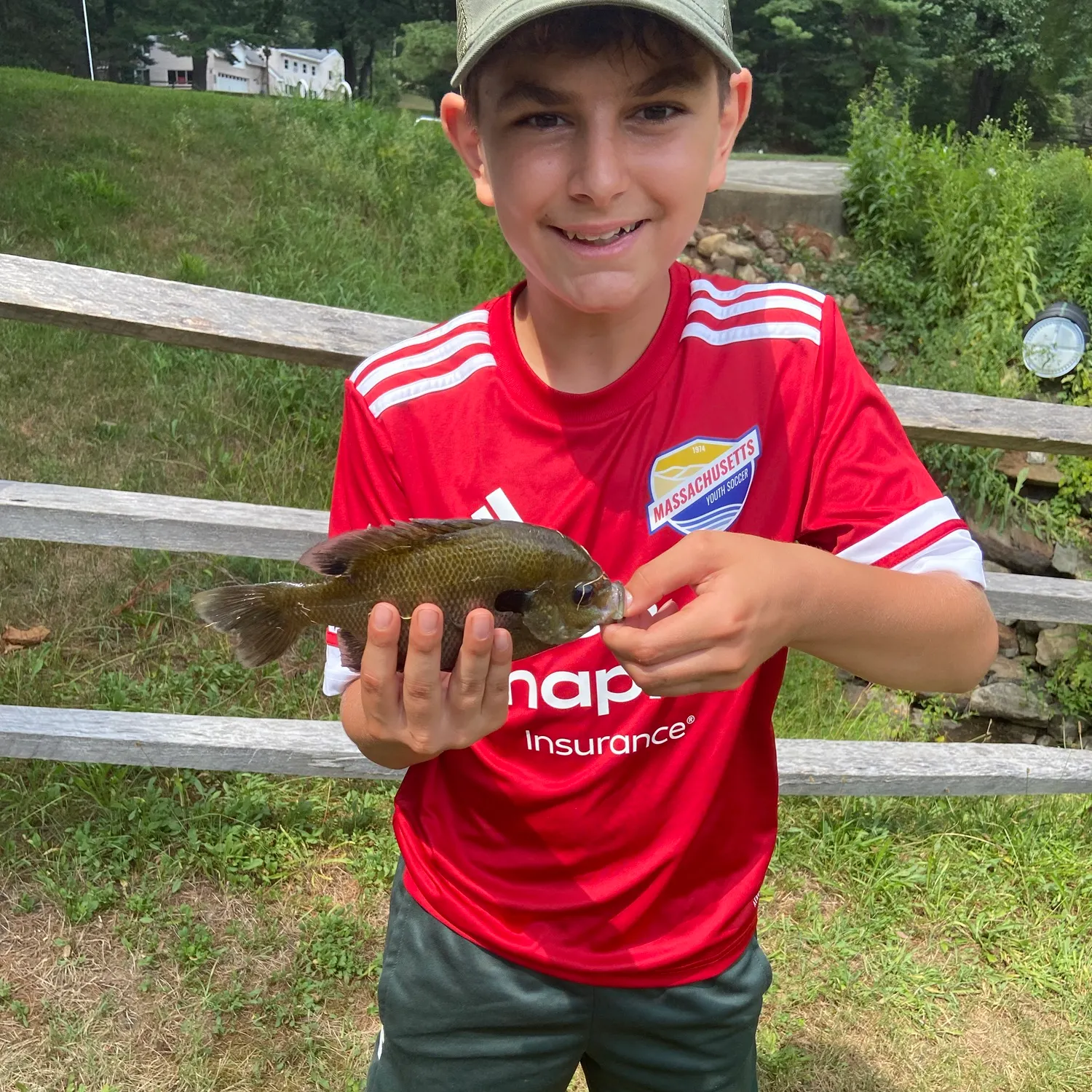 Bluegill caught on Fishbrain
