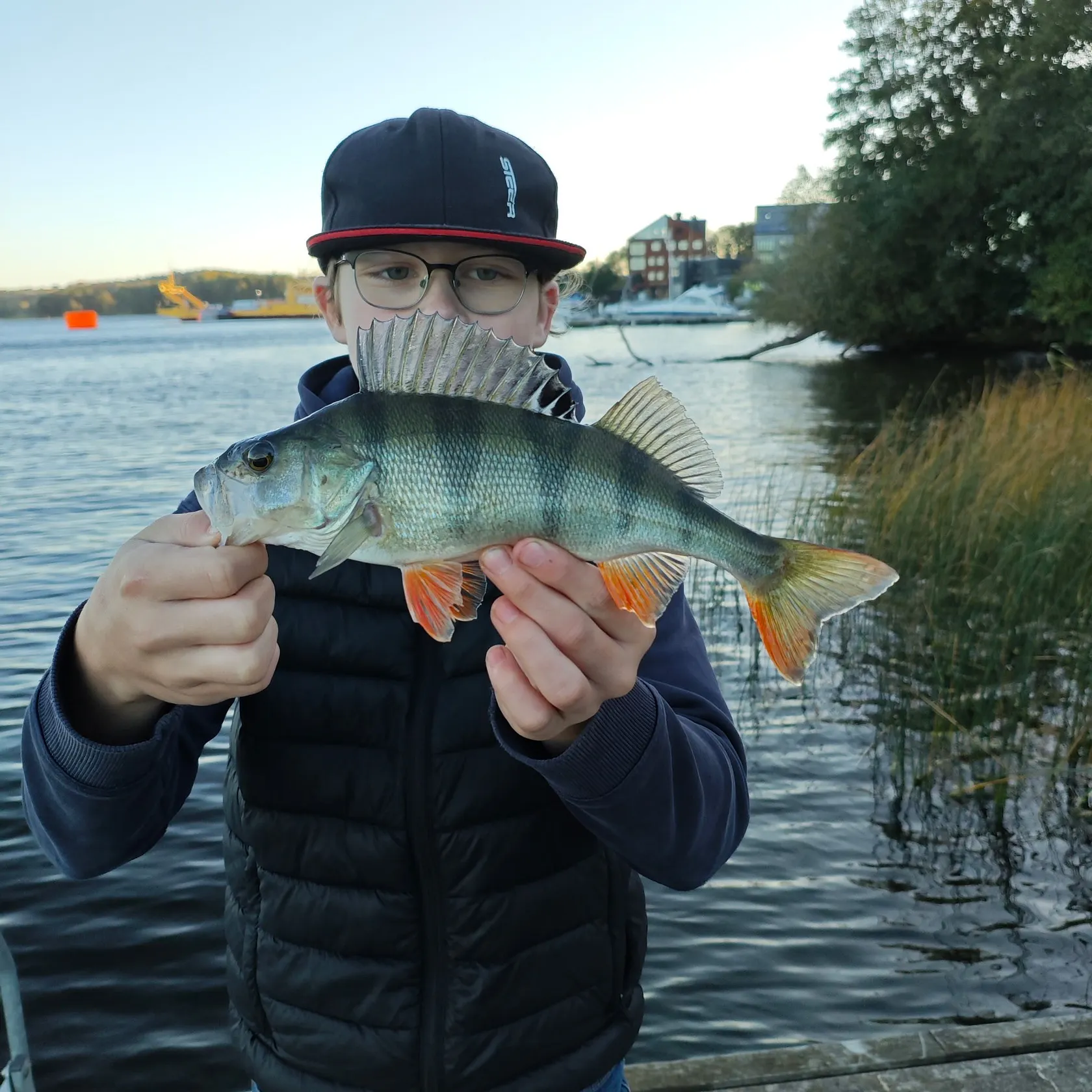 European perch caught on Fishbrain