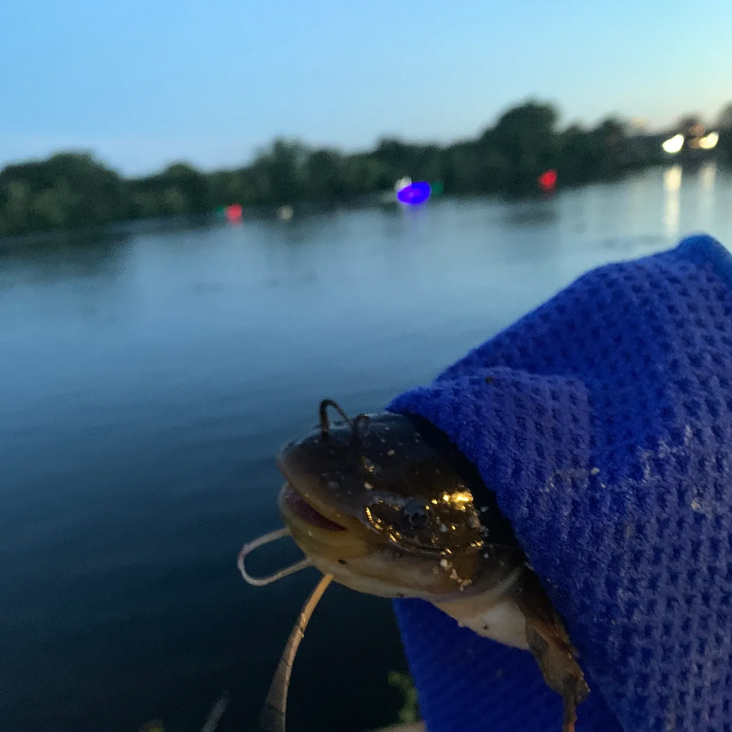 catch