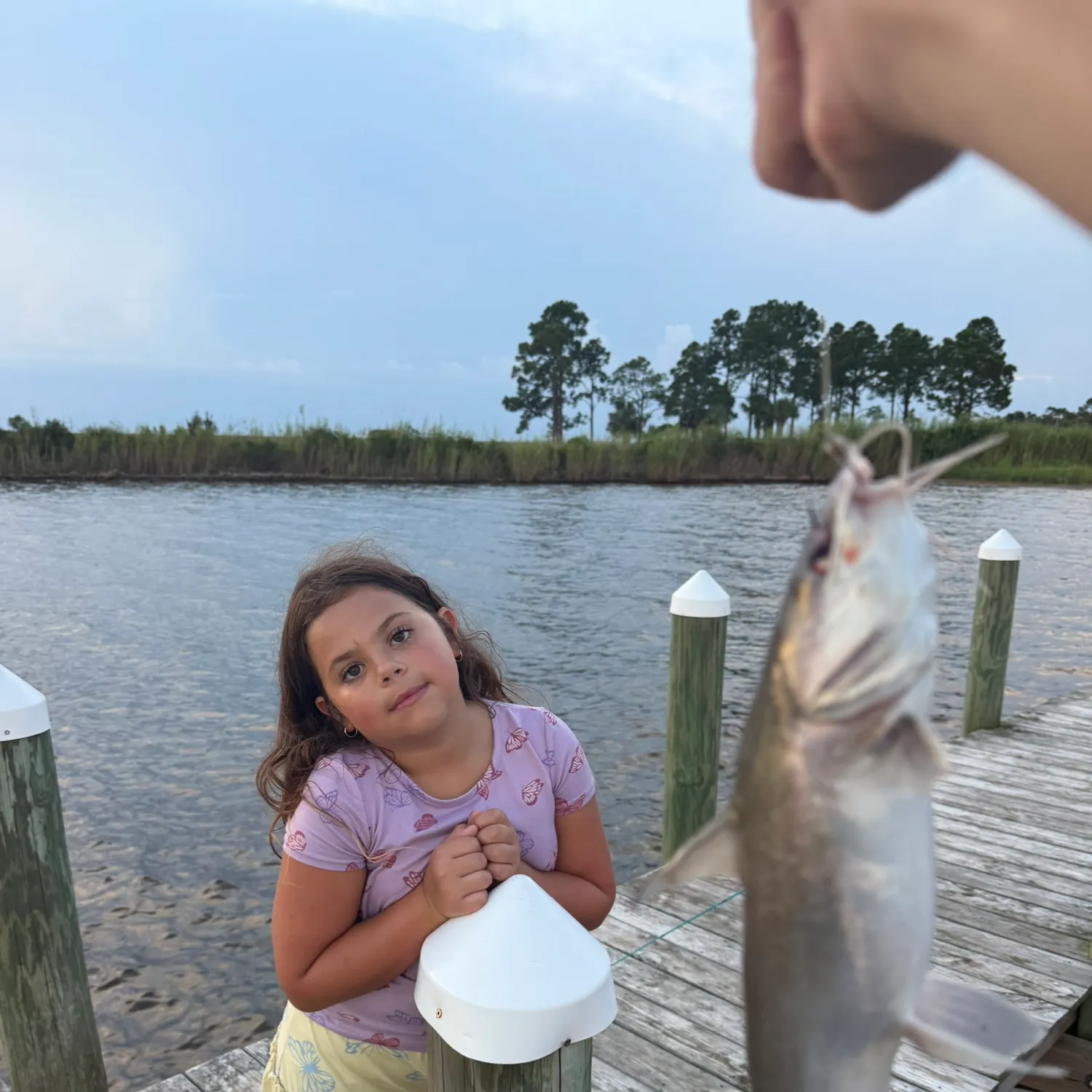 The most recent Hardhead sea catfish catches on Fishbrain