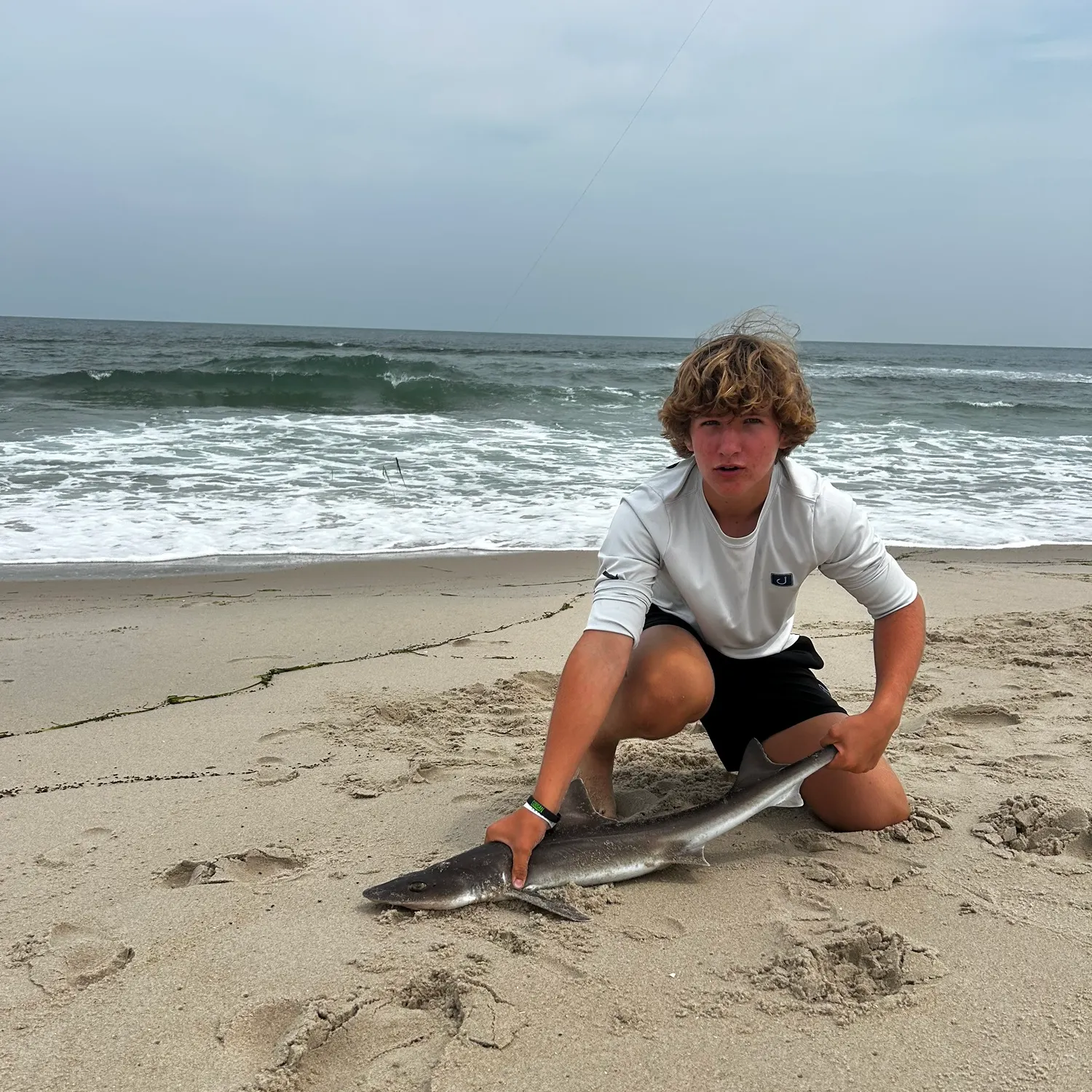 The most popular recent Piked dogfish catch on Fishbrain