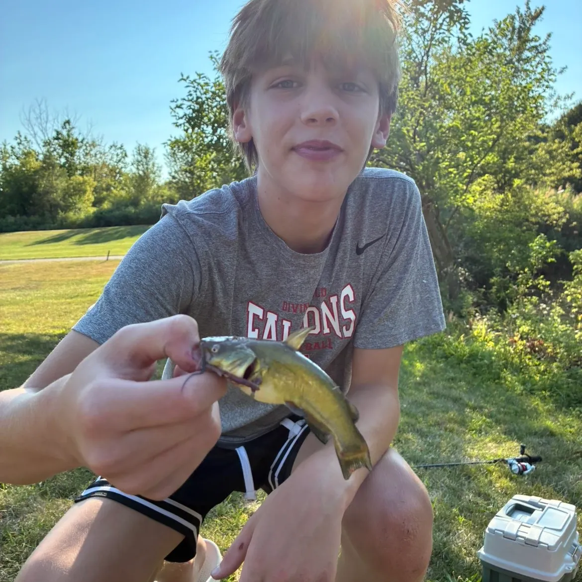 Yellow bullhead caught on Fishbrain