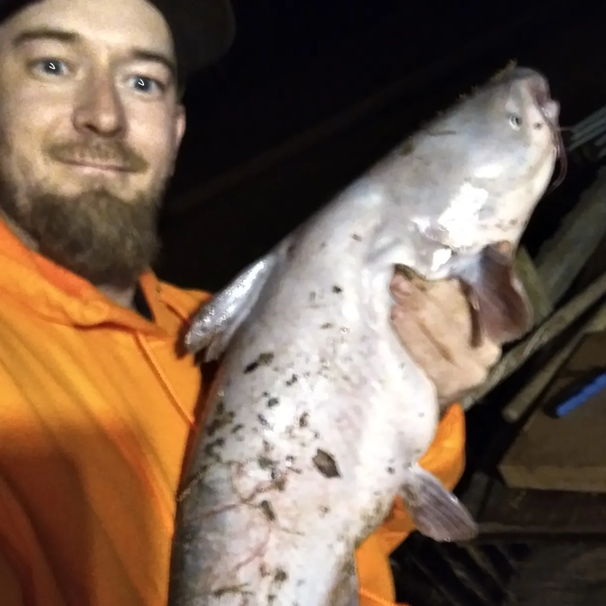 angler catch