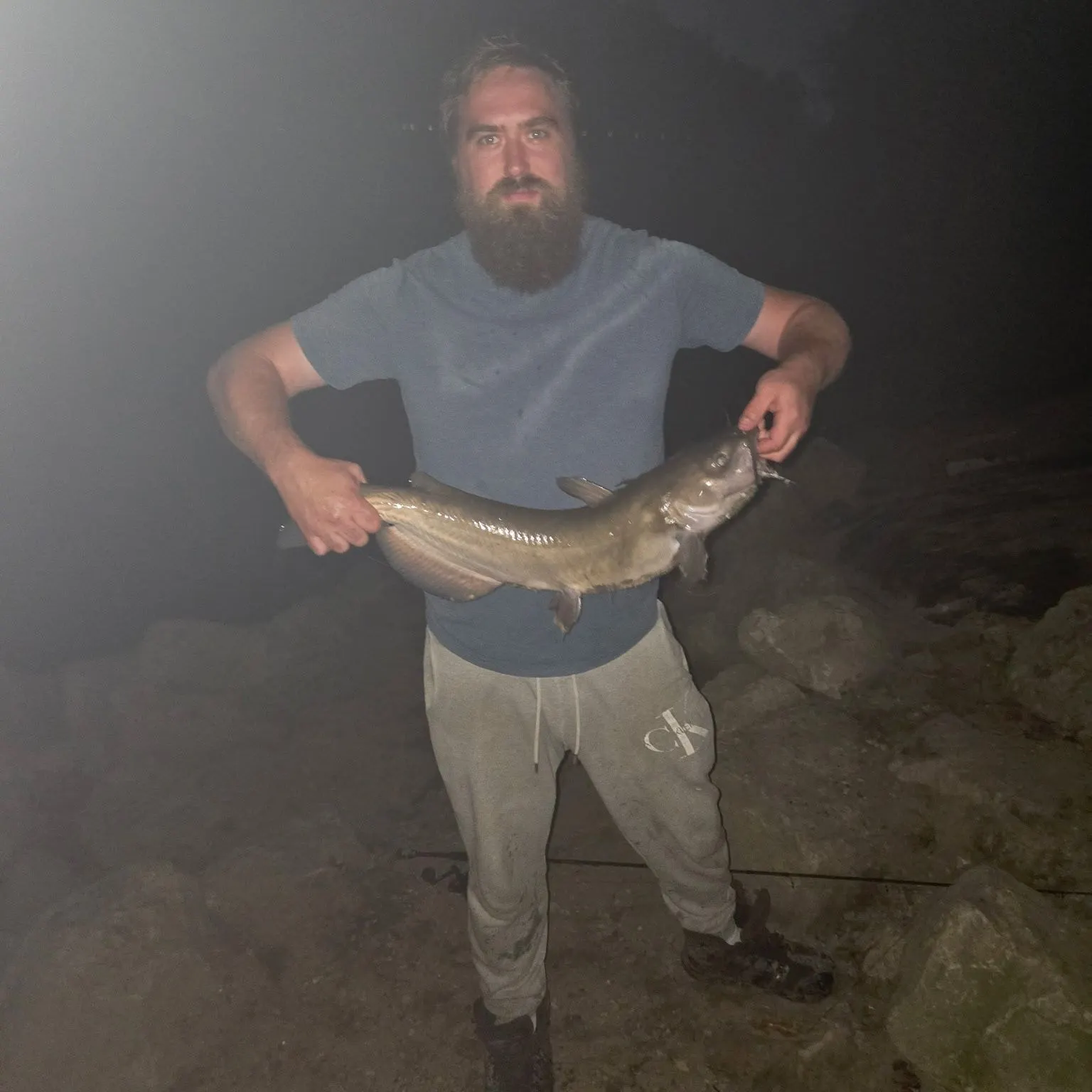 Channel catfish caught on Fishbrain