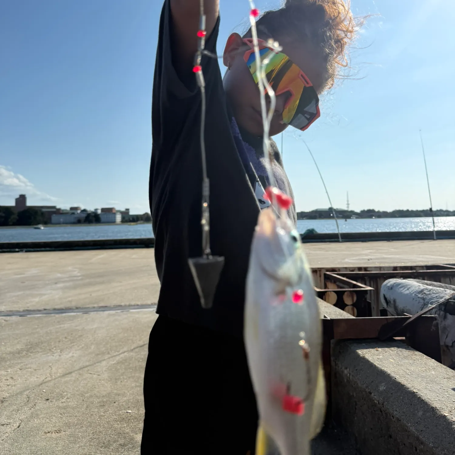 The most recent Silver perch catches on Fishbrain