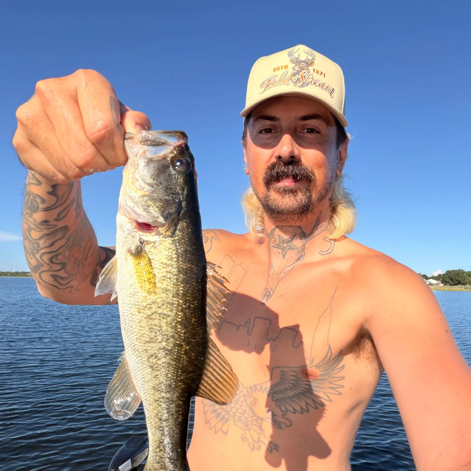 Largemouth bass caught on Fishbrain