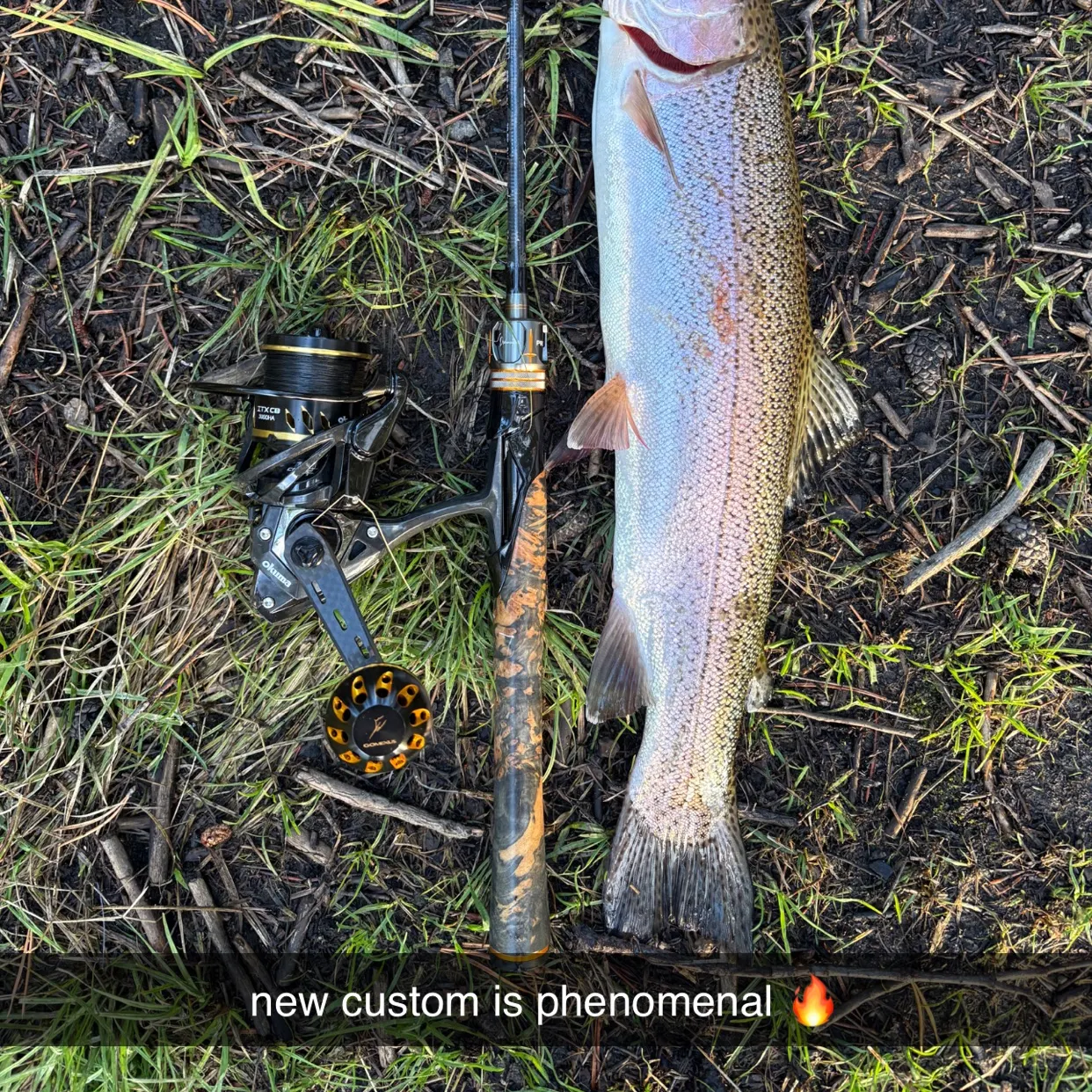 Rainbow trout caught on Fishbrain