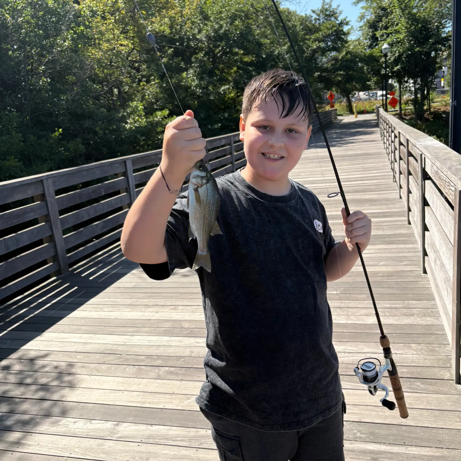 The most recent White perch catches on Fishbrain