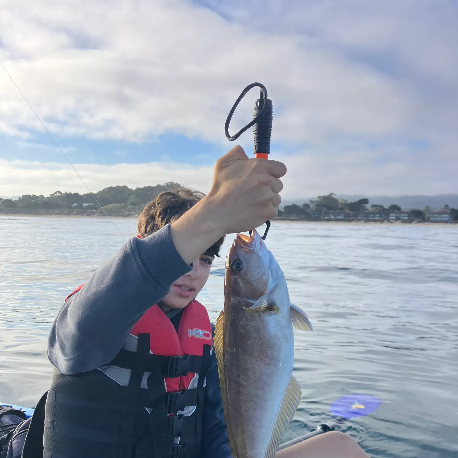 The most recent Ocean whitefish catches on Fishbrain