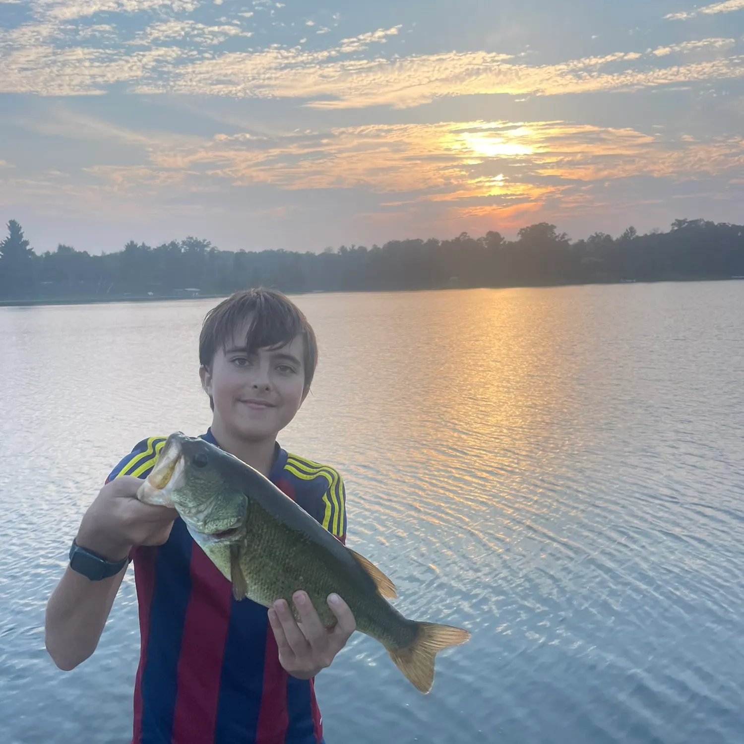 Largemouth bass caught on Fishbrain