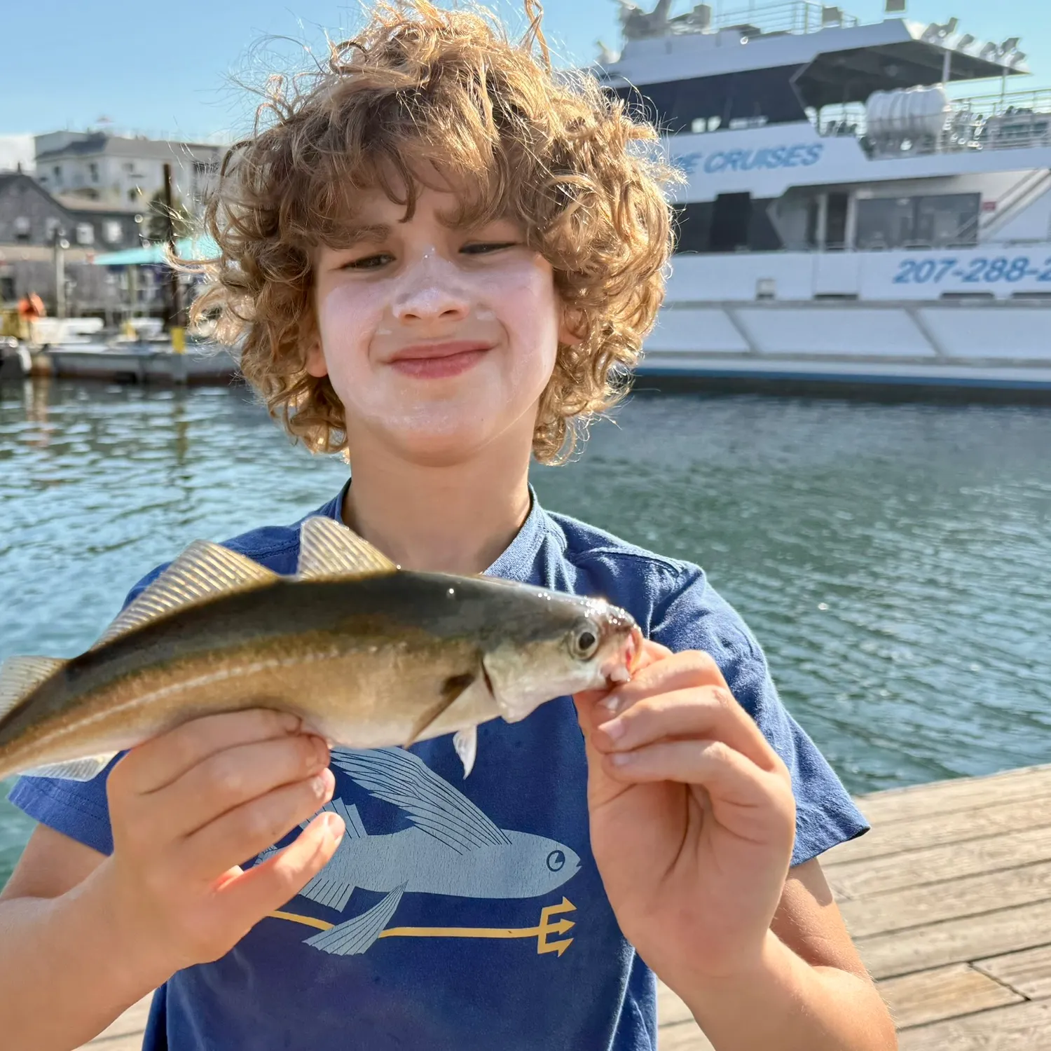 The most recent Pacific tomcod catches on Fishbrain