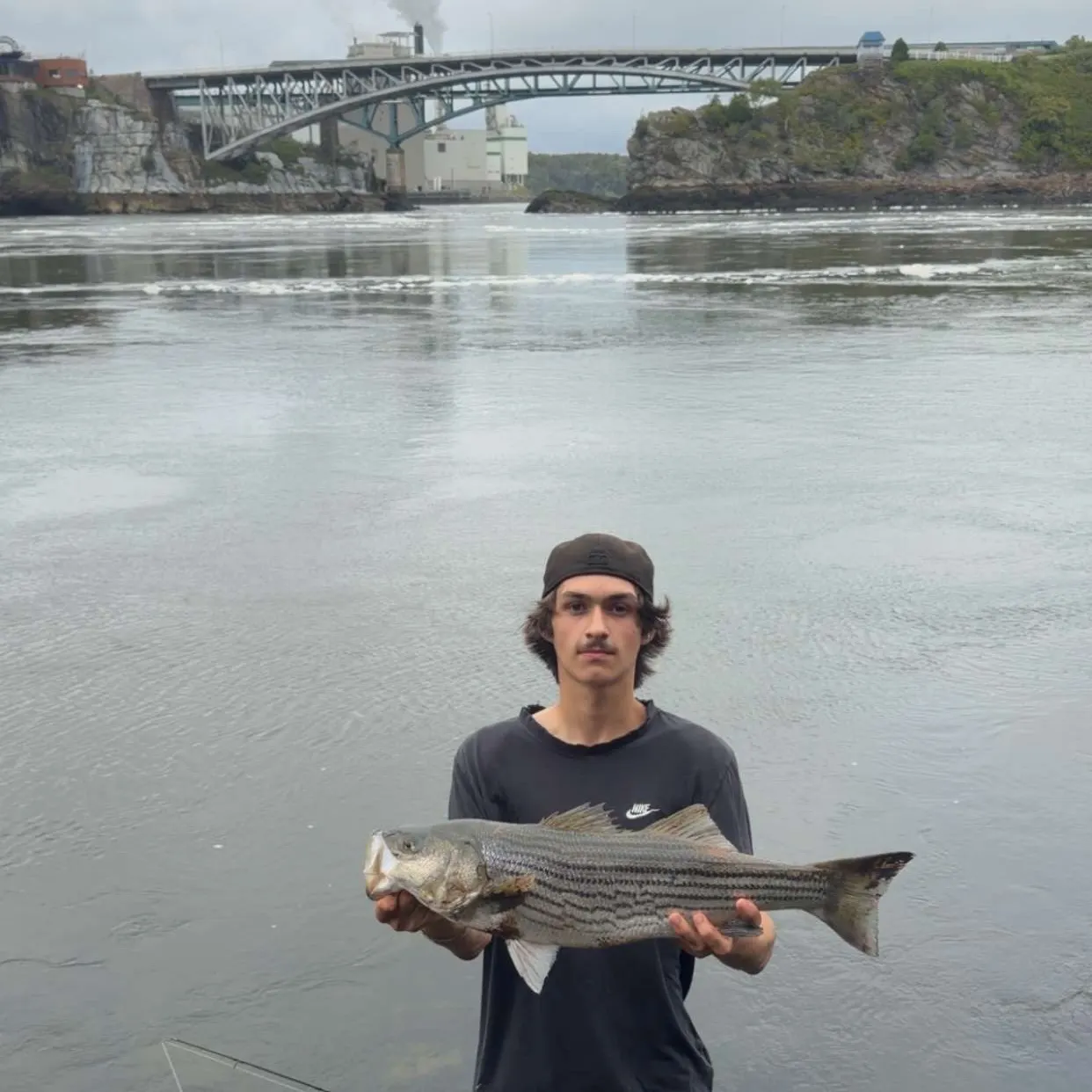 Striped bass caught on Fishbrain