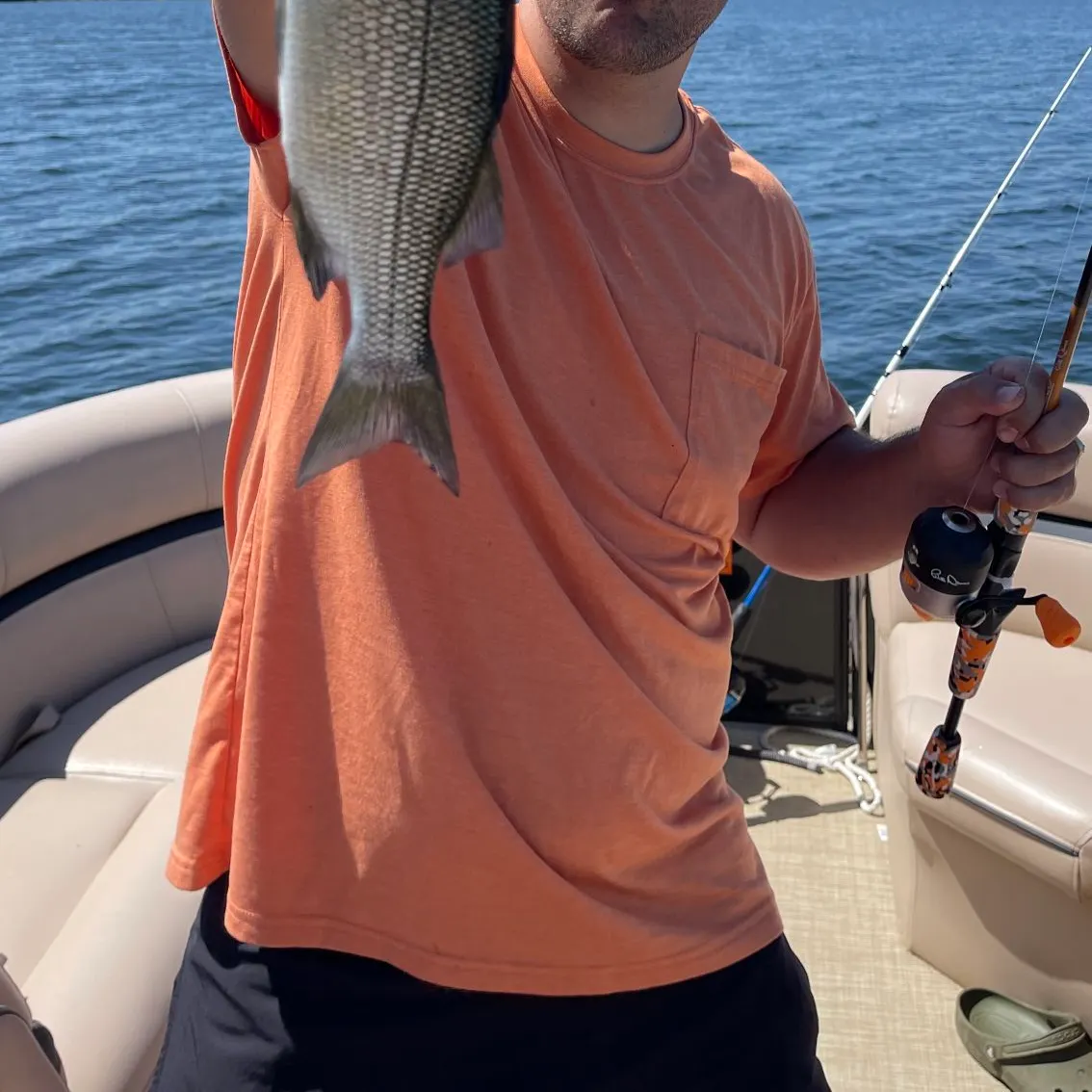 The most recent Silver perch catches on Fishbrain