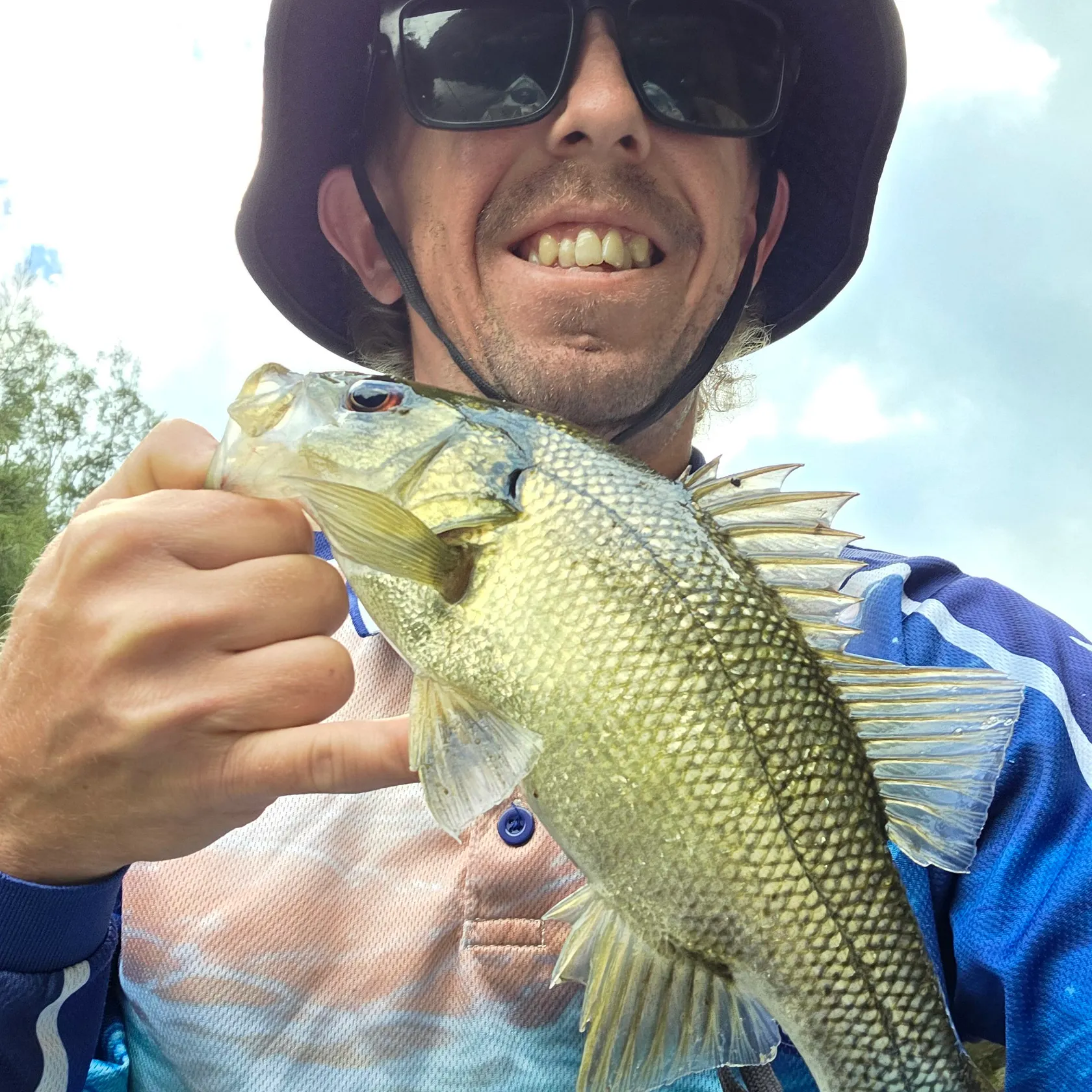 The most recent Australian bass catches on Fishbrain