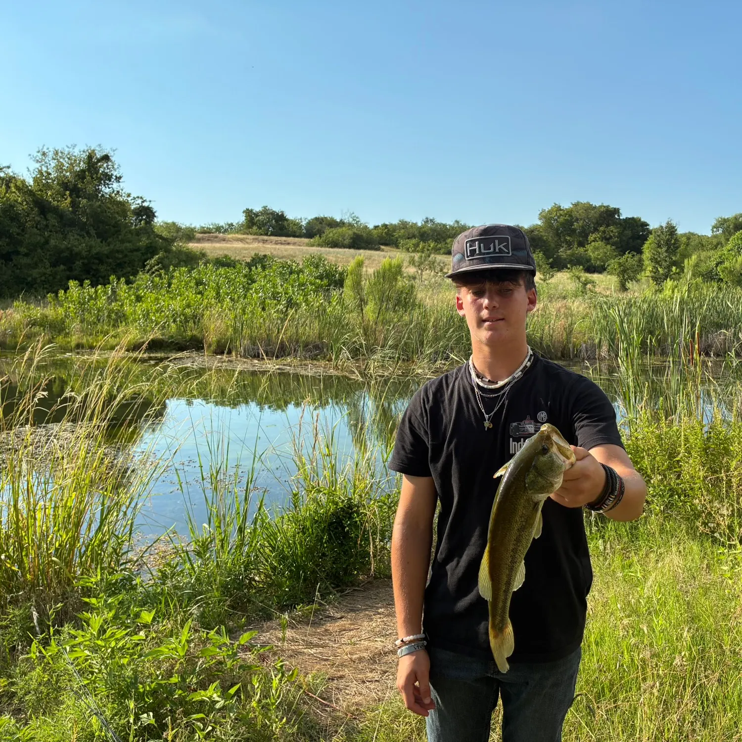 Fish caught on Fishbrain
