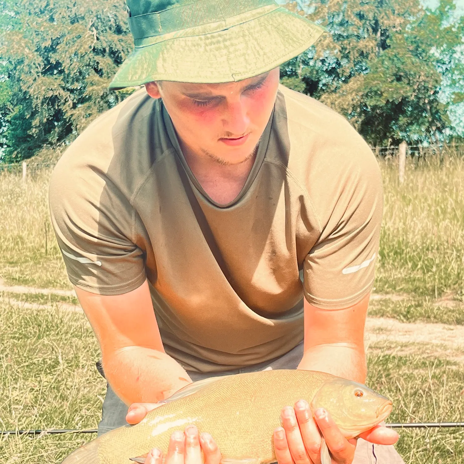 The most recent Tench catches on Fishbrain