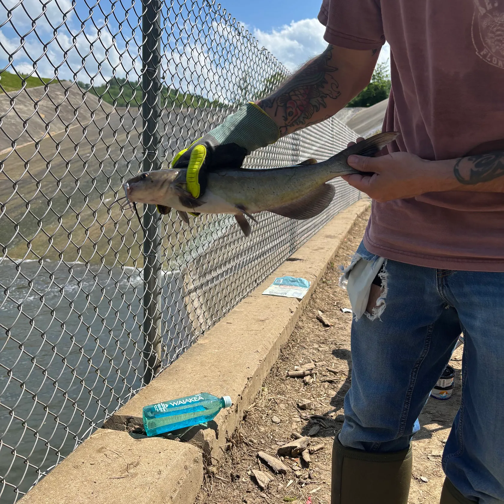 catch