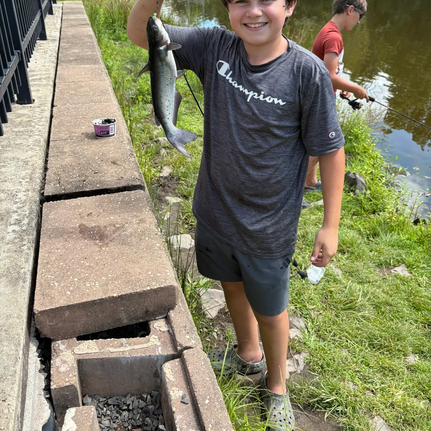 Channel catfish caught on Fishbrain