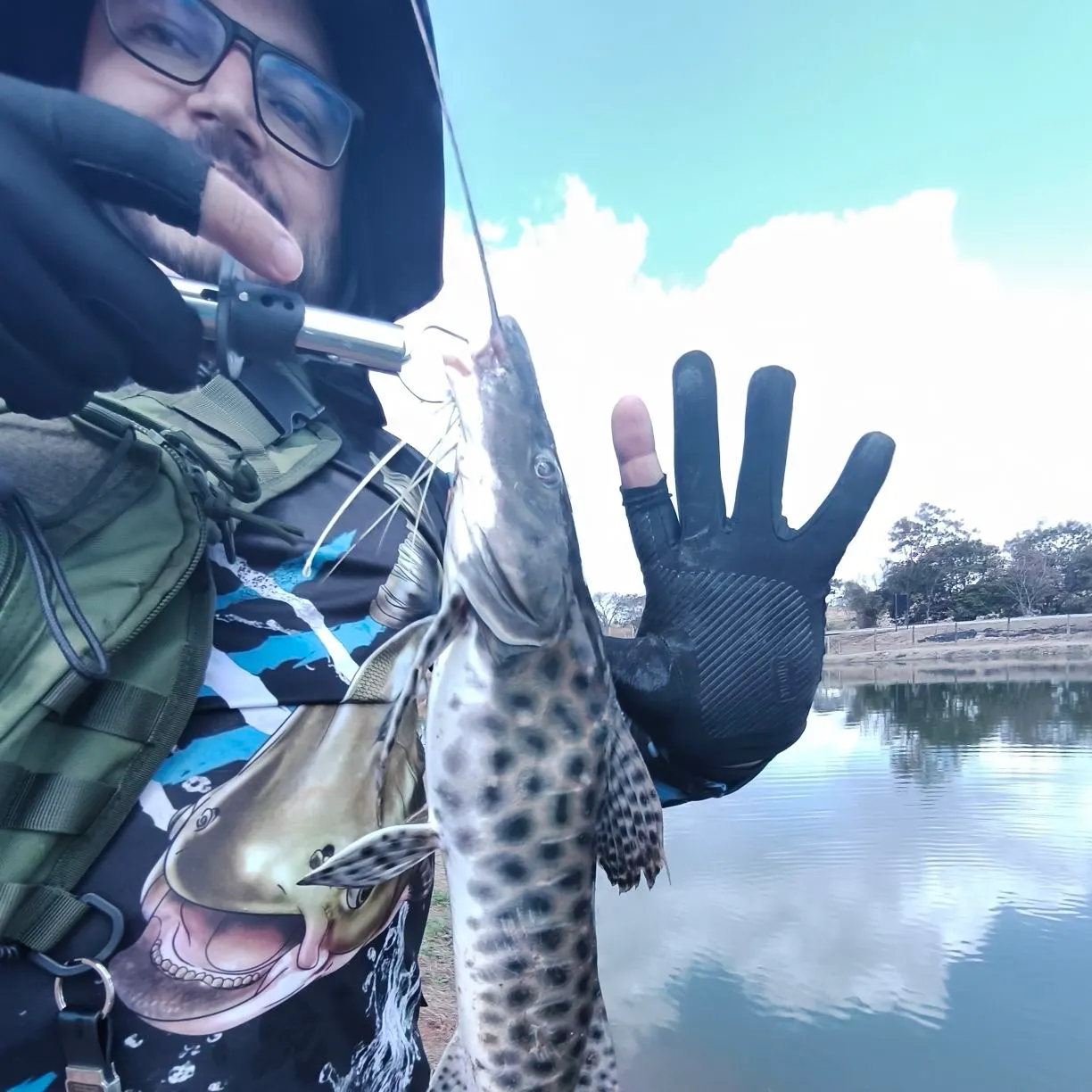 The most recent Spotted sorubim catches on Fishbrain