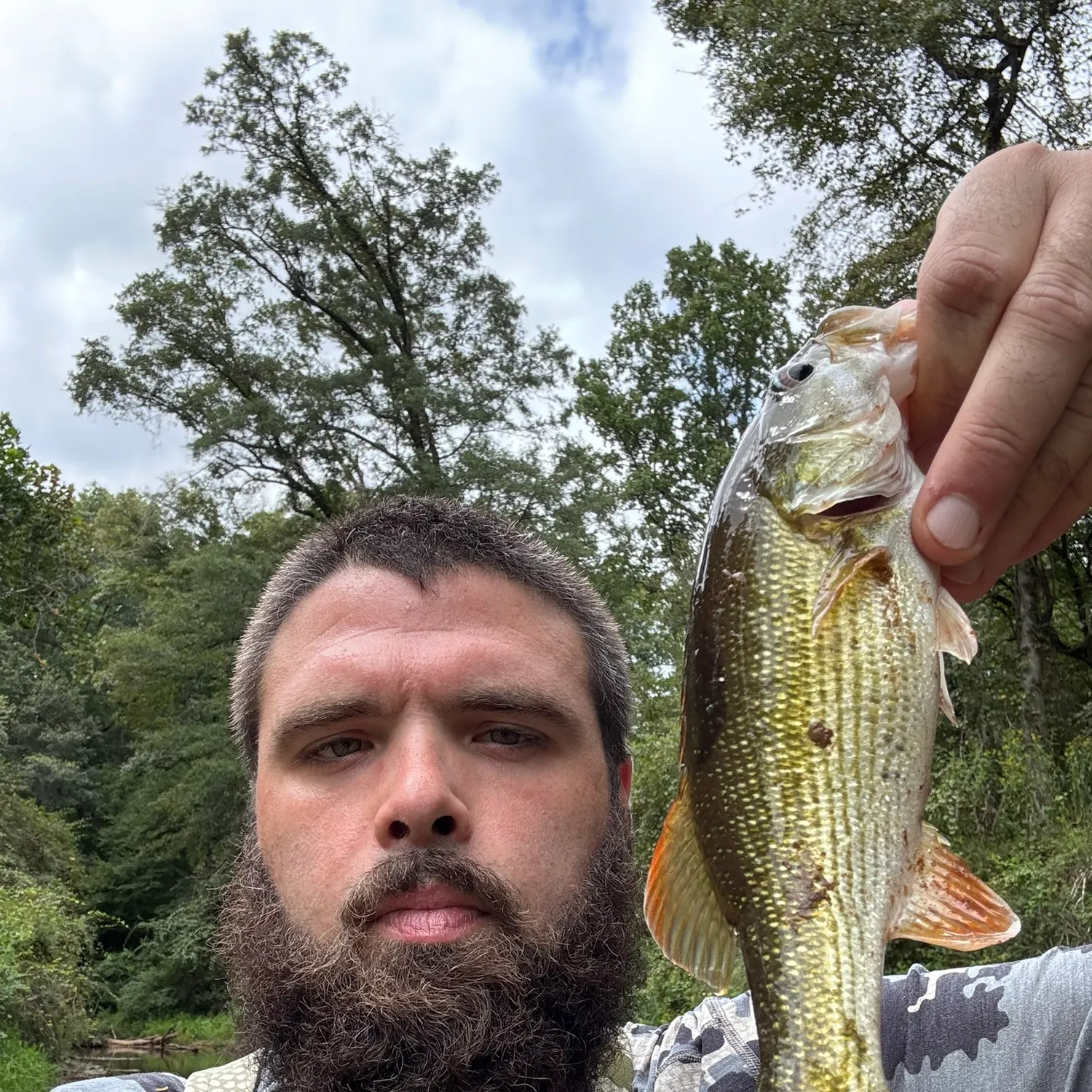 Chattahoochee bass caught on Fishbrain