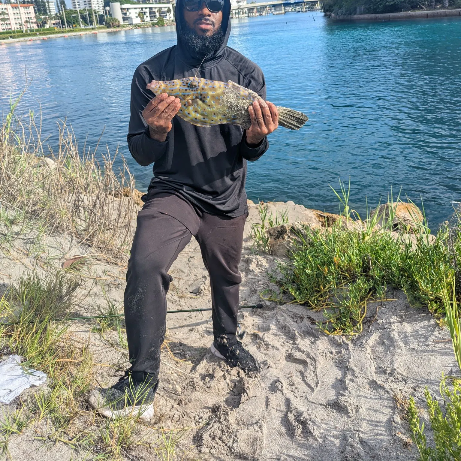 The most recent Modest filefish catches on Fishbrain