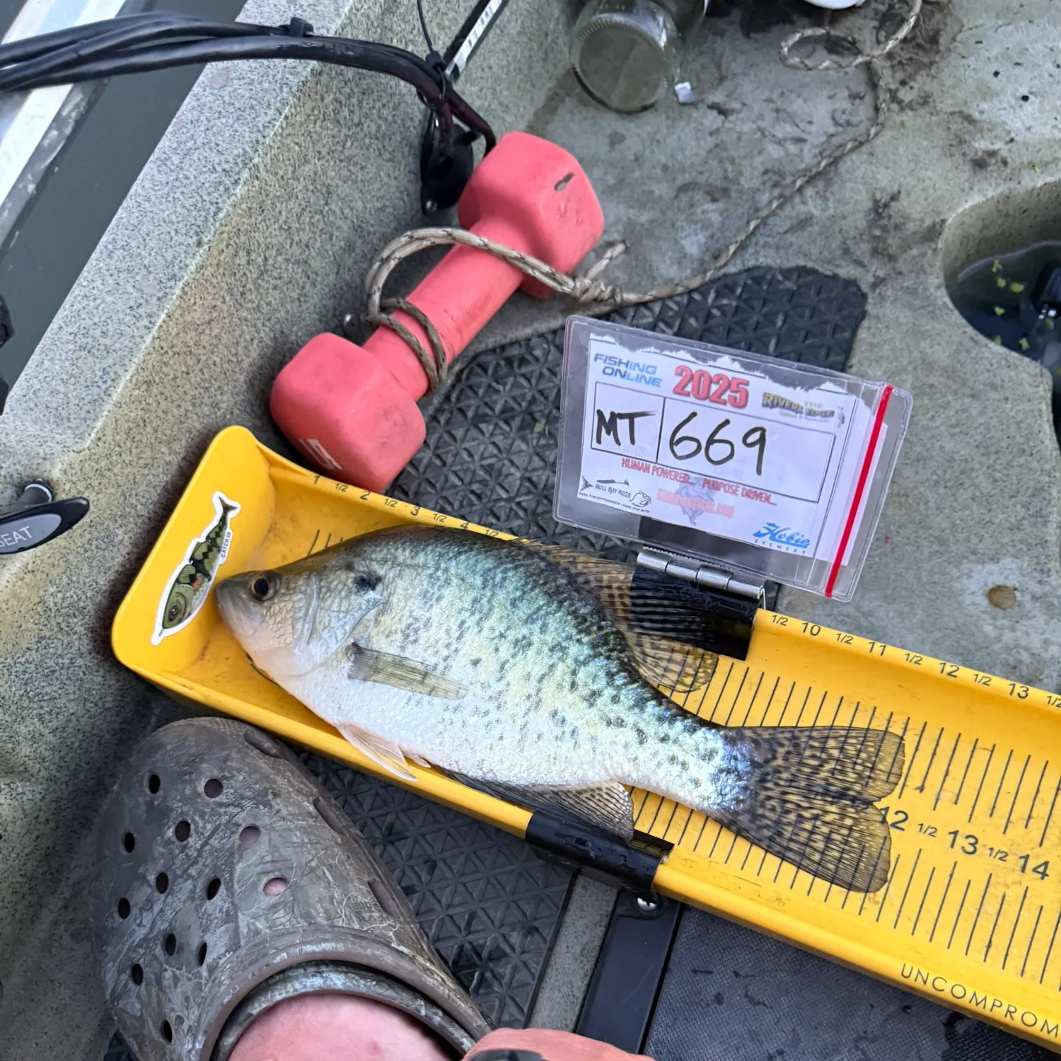 recently logged catches