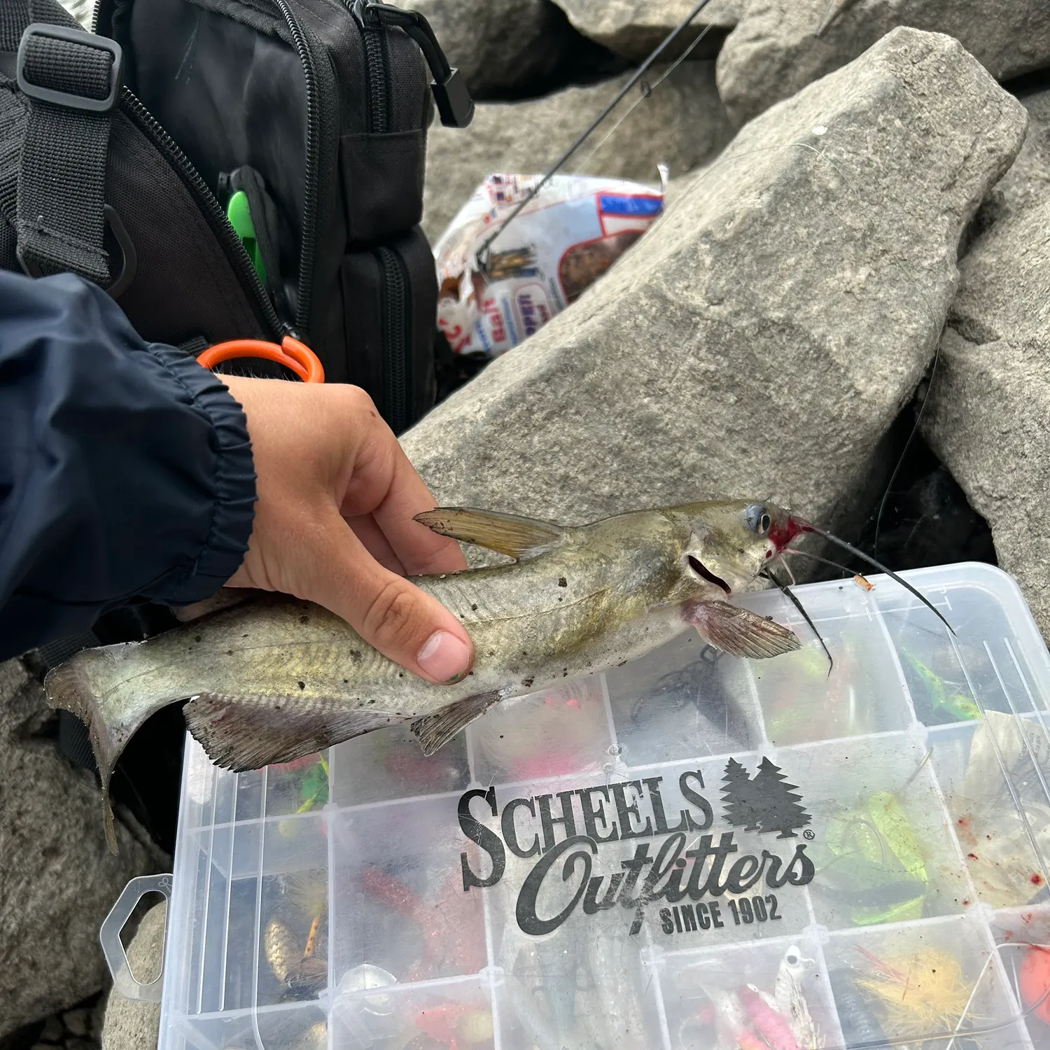 catch