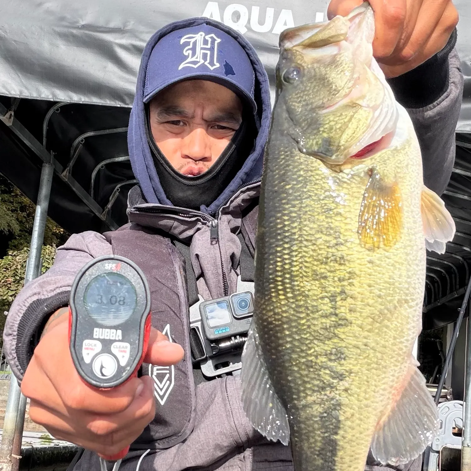 Largemouth bass caught on Fishbrain