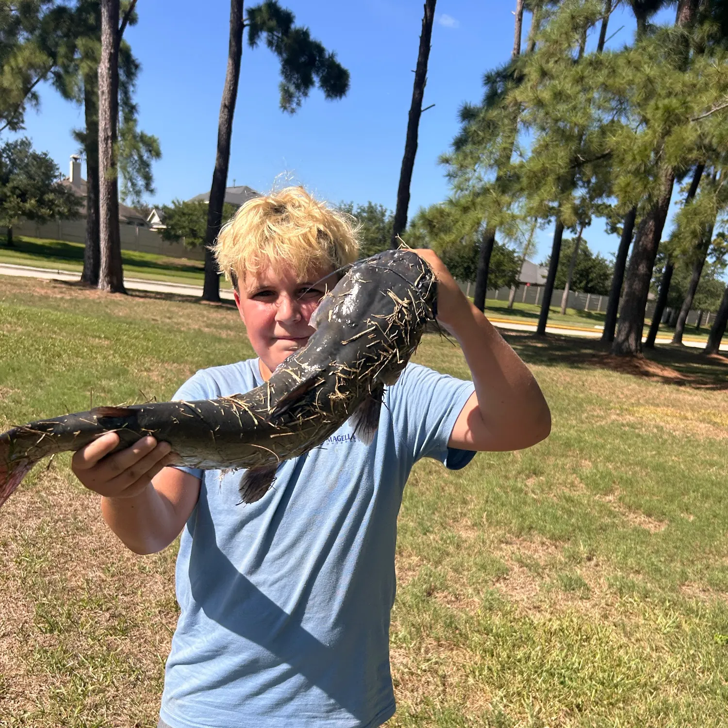 Blue catfish caught on Fishbrain