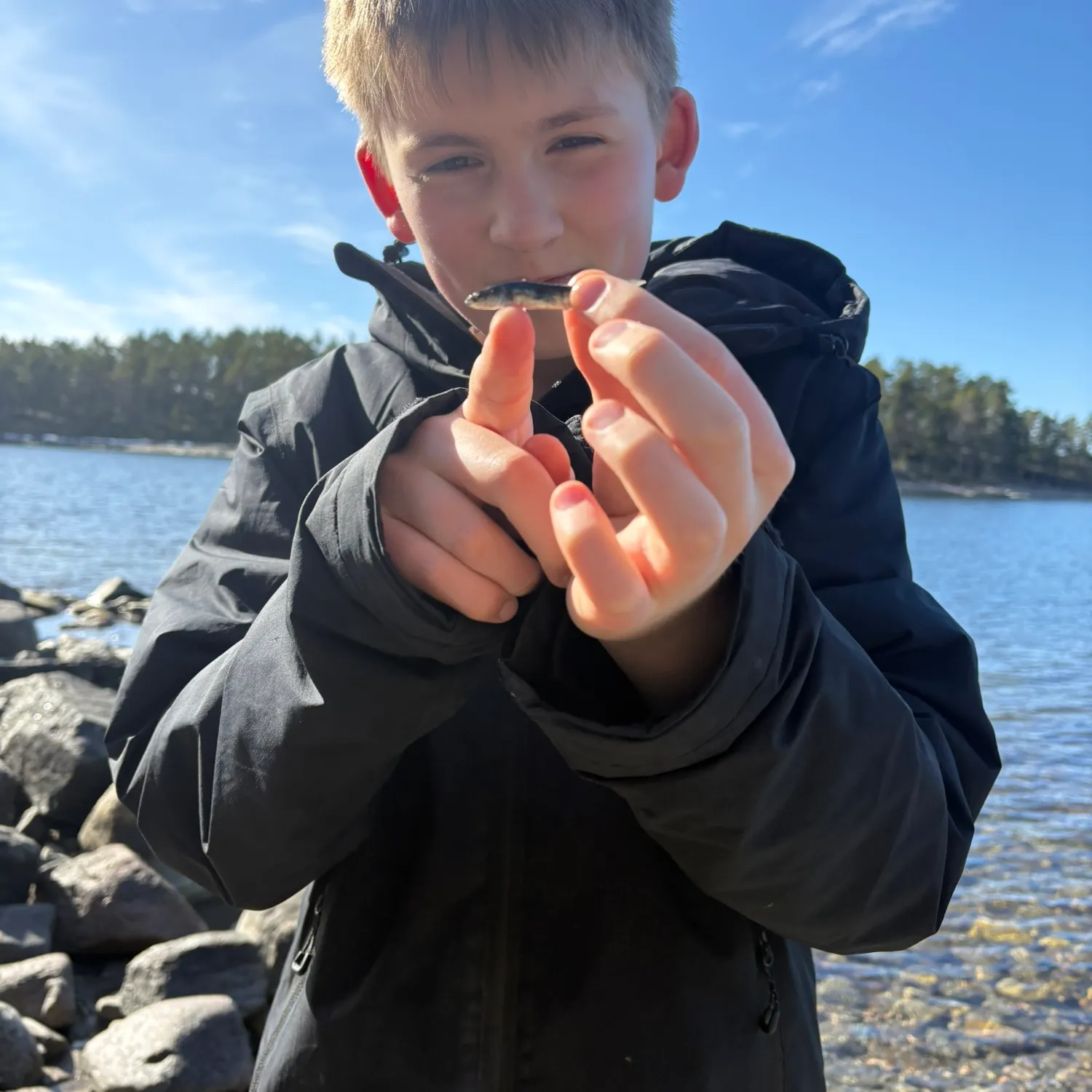 The most recent Three-spined stickleback catches on Fishbrain