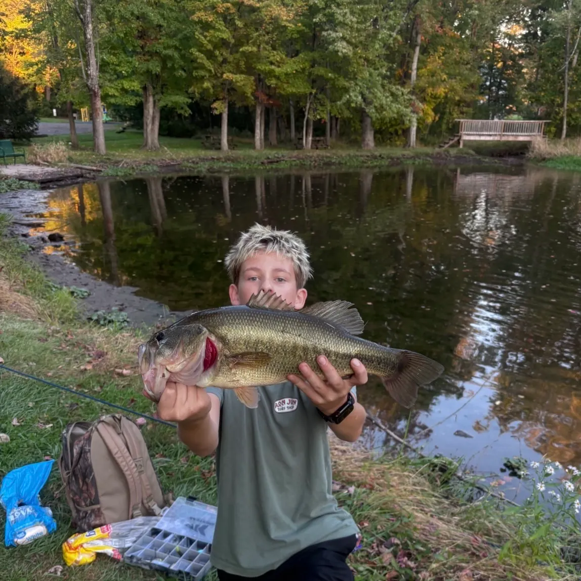 Largemouth bass caught on Fishbrain