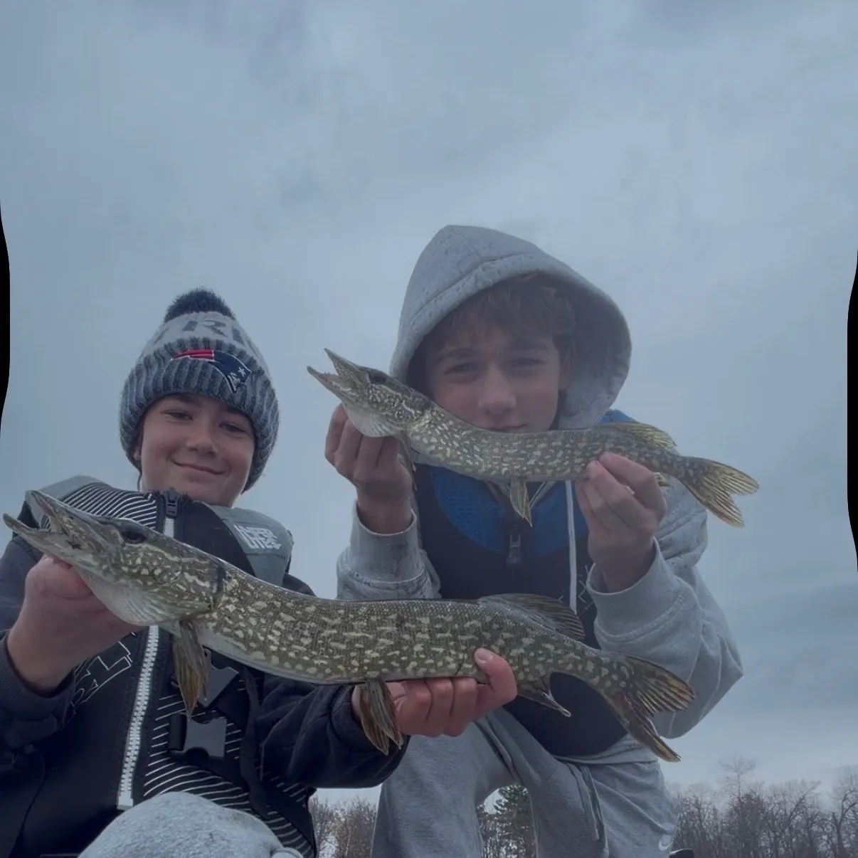 Northern pike caught on Fishbrain