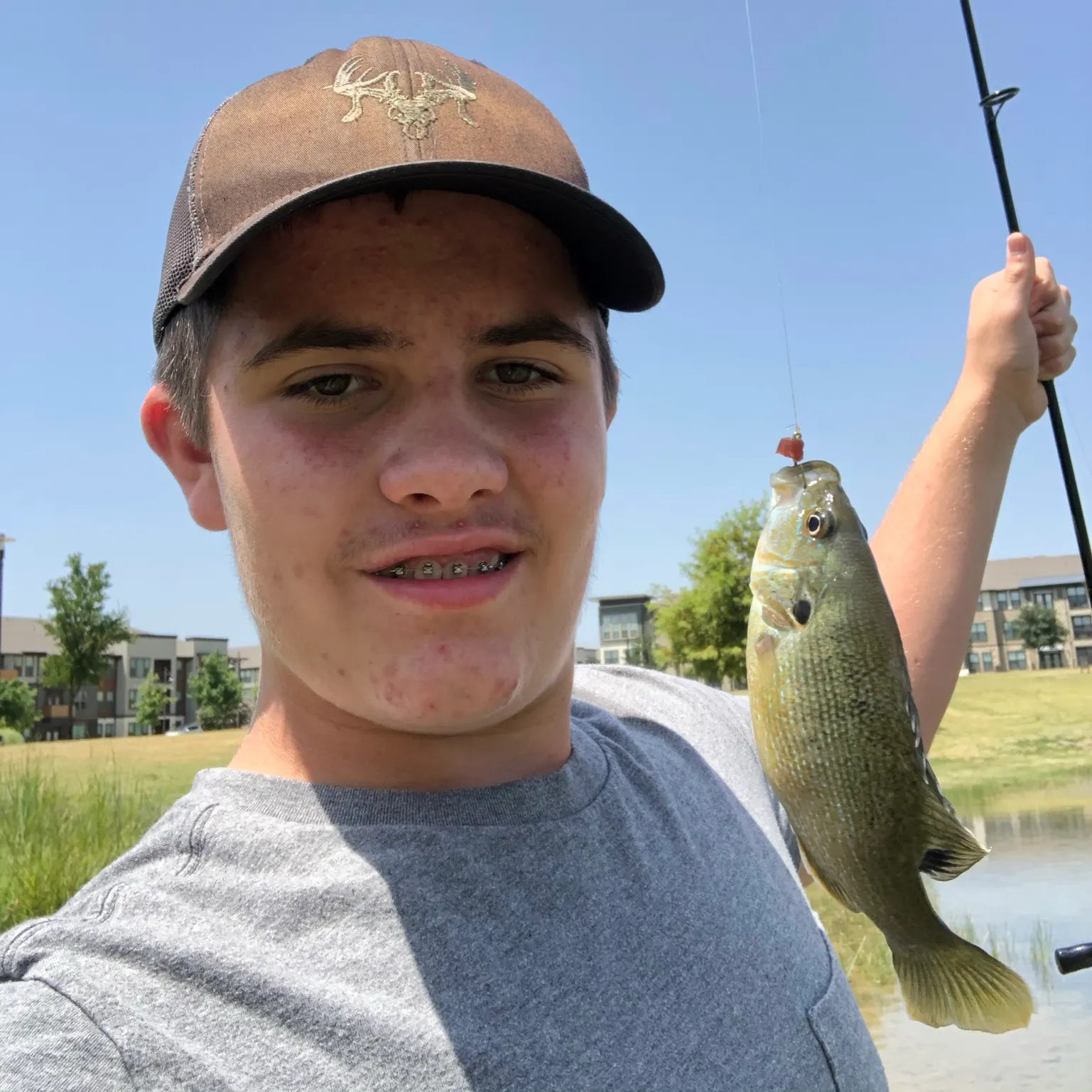 The most recent Green sunfish catches on Fishbrain