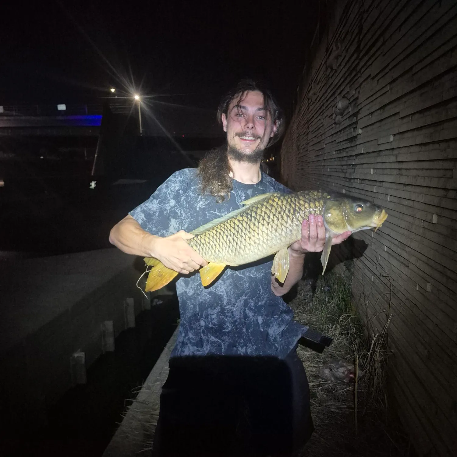 Common carp caught on Fishbrain