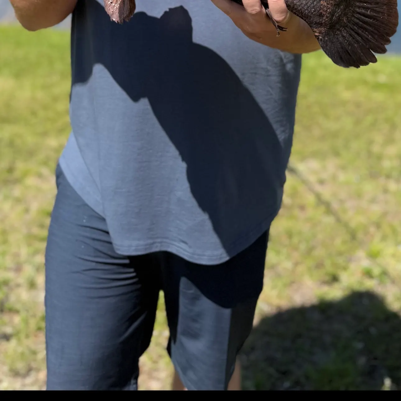 most liked catch image