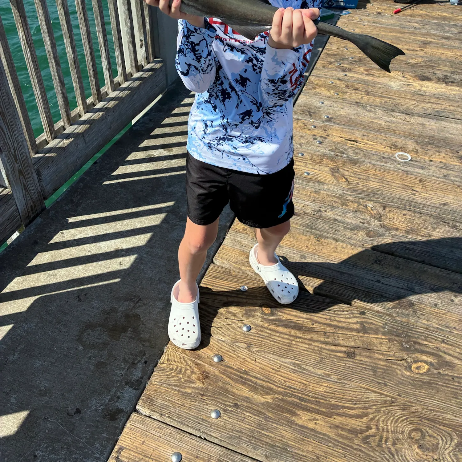 The most recent Common remora catches on Fishbrain