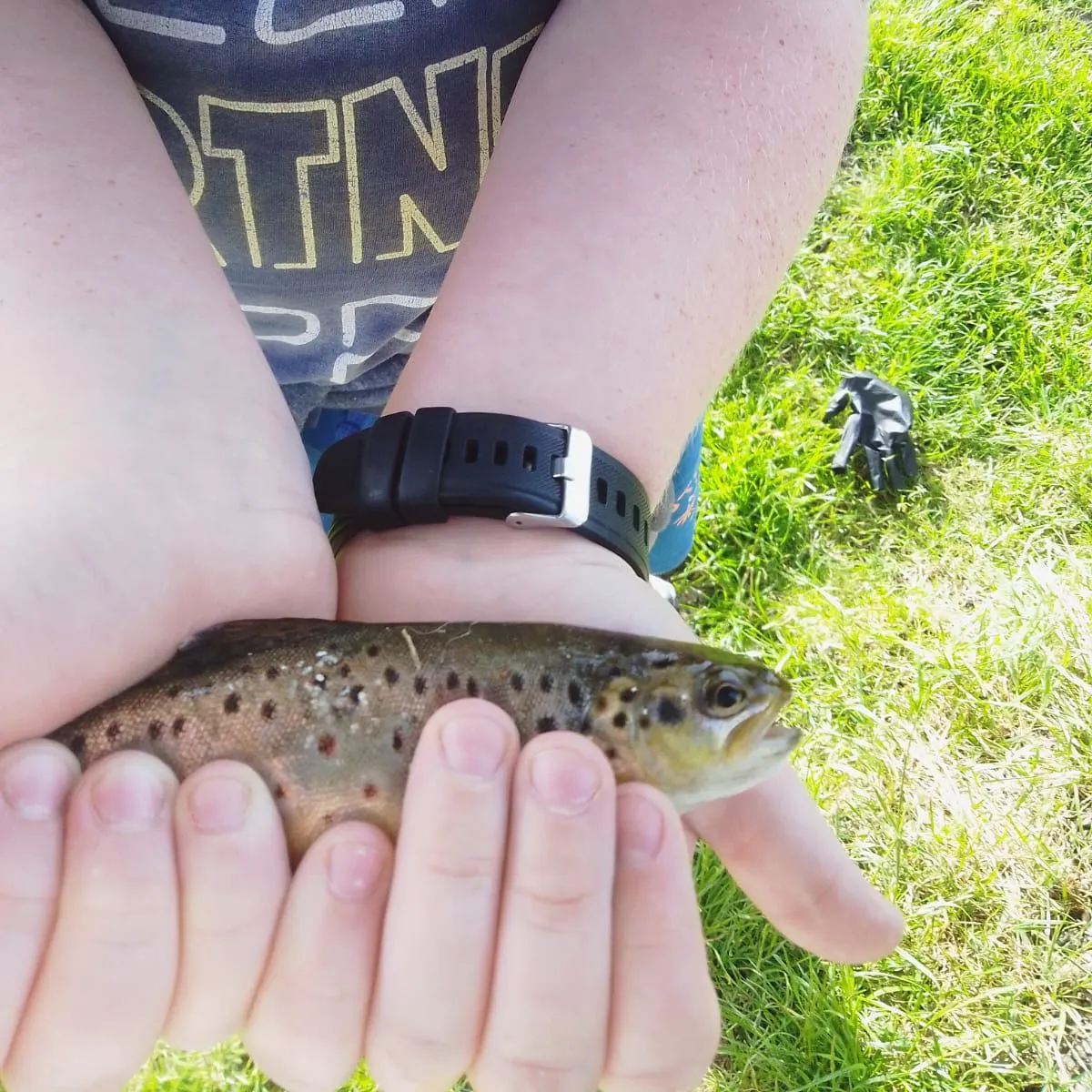Fish caught on Fishbrain