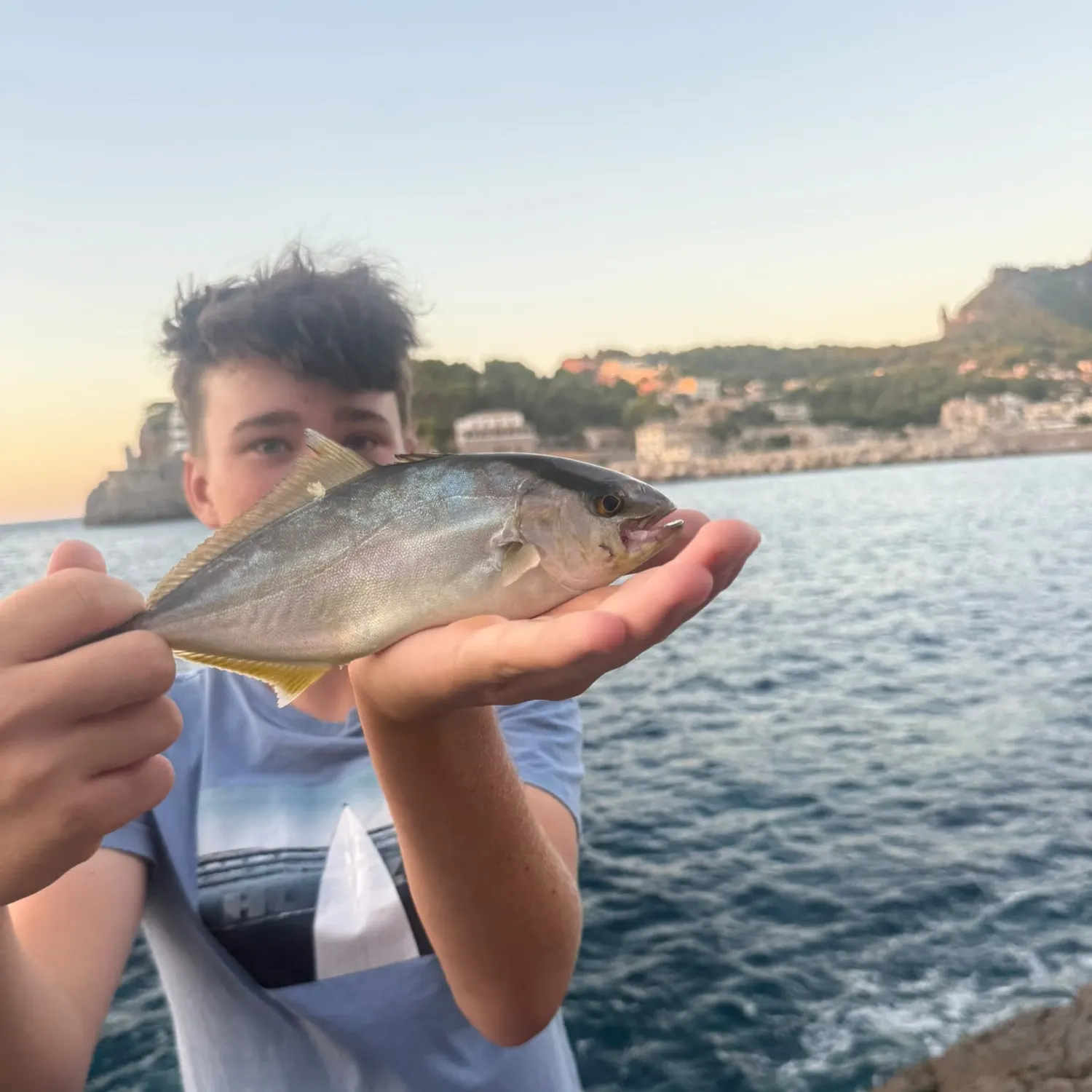 Greater amberjack caught on Fishbrain