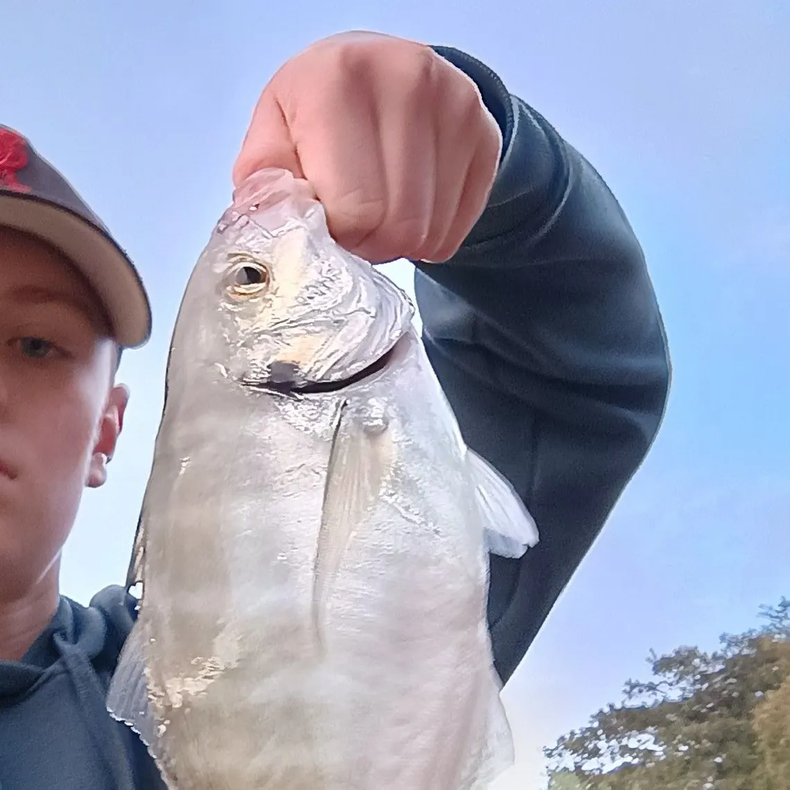 The most recent White trevally catches on Fishbrain